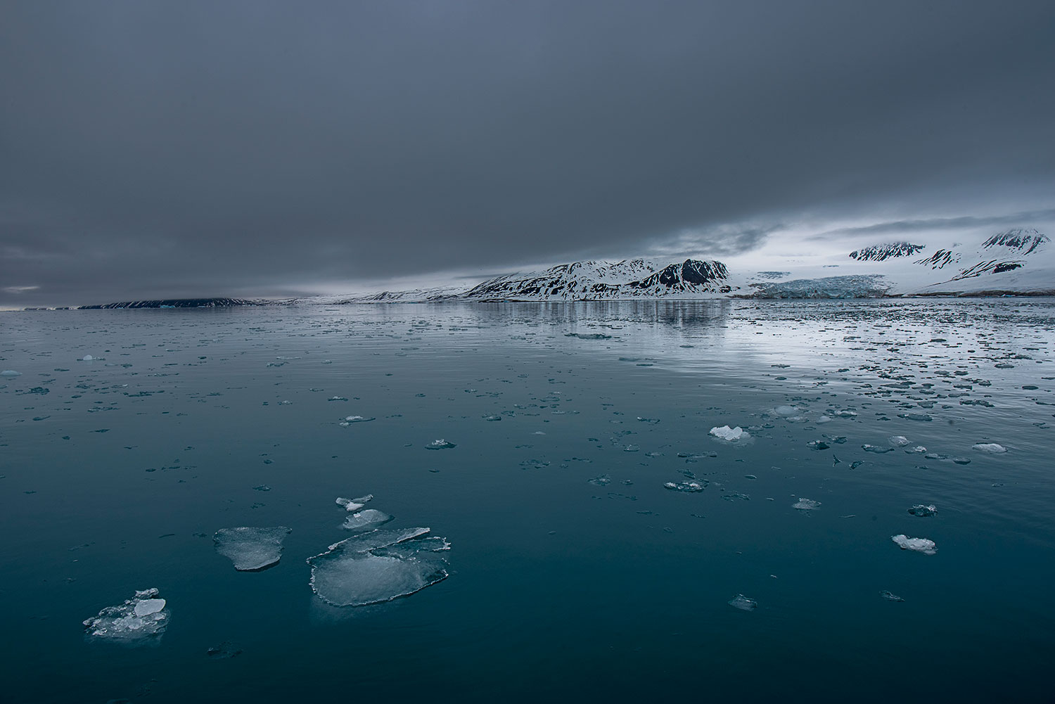 panorama nel Lilliehookfjord - Svalbard