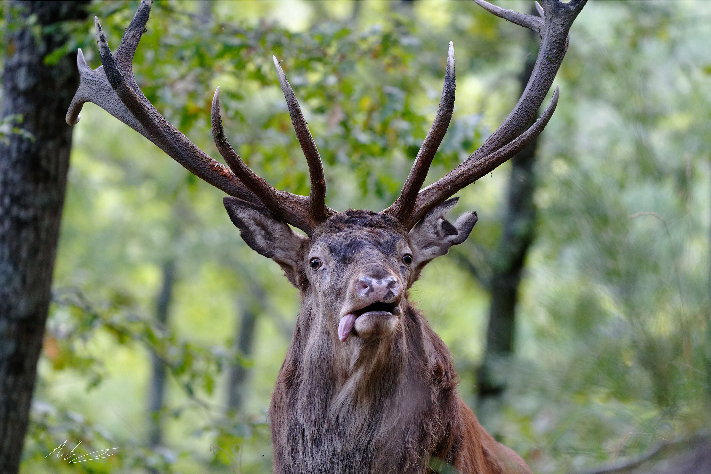 Che faticaccia anche questa stagione