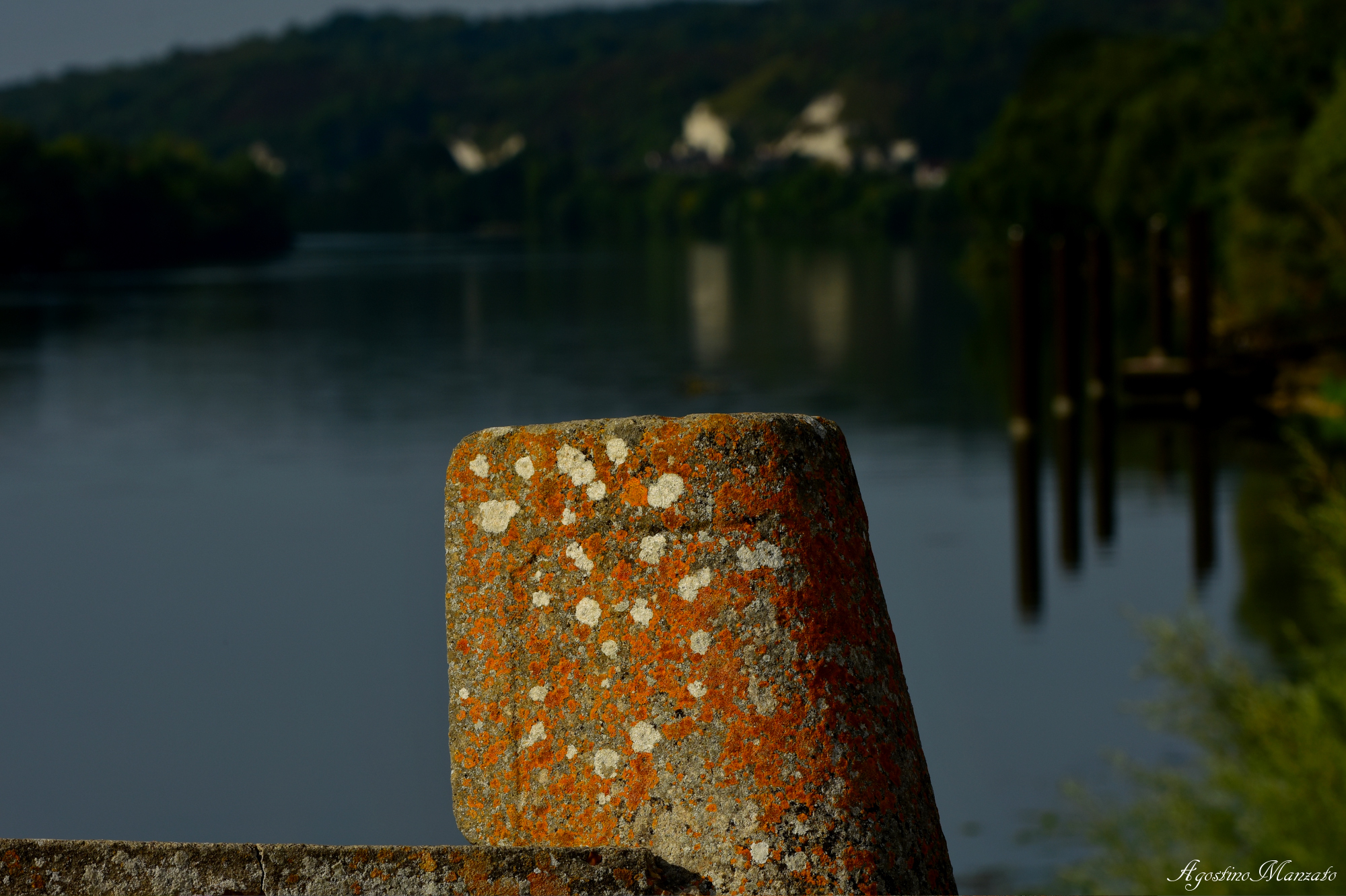 I licheni della Senna