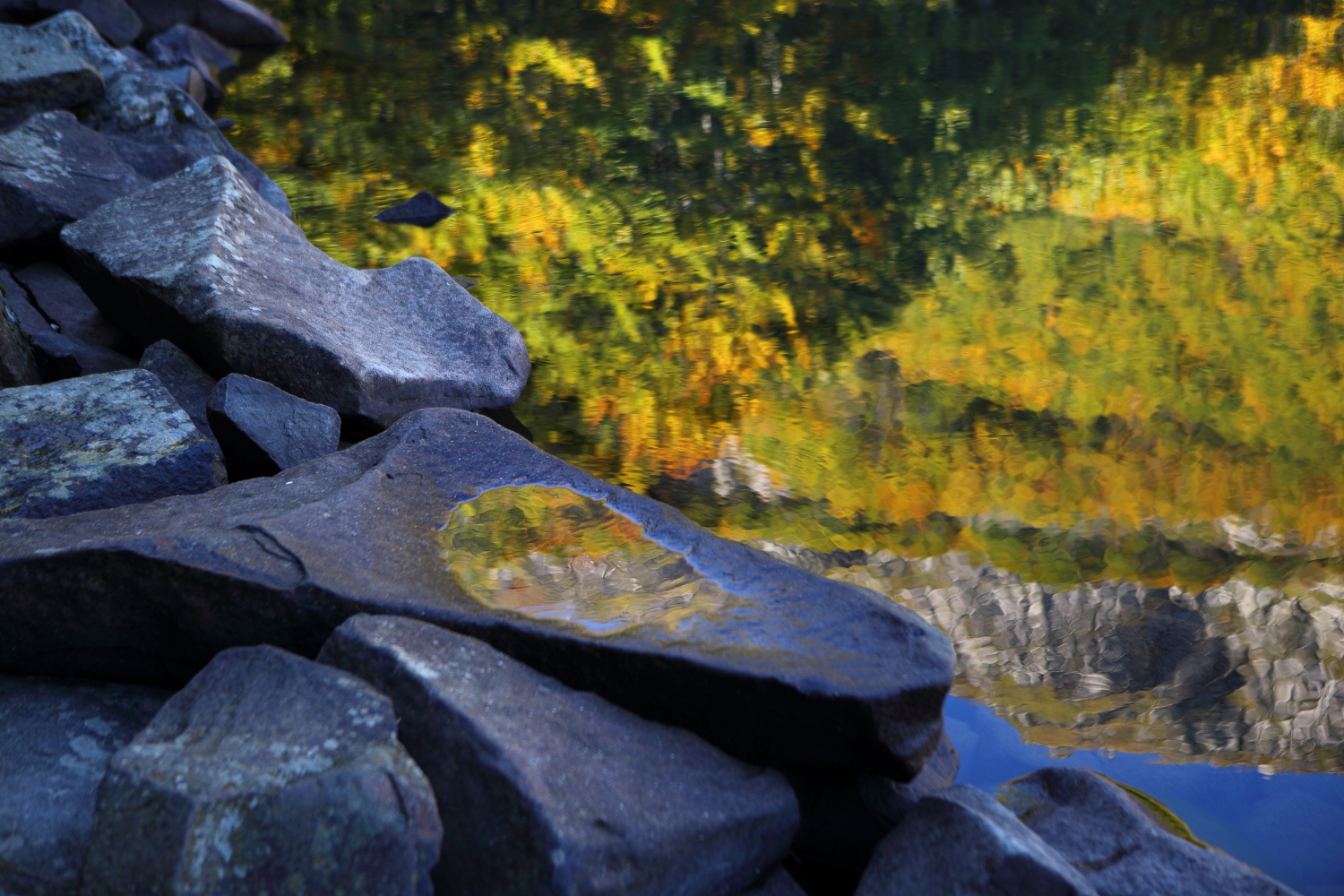 Lake Santo, Tagliole, Pievepelago(Mo). Particular.