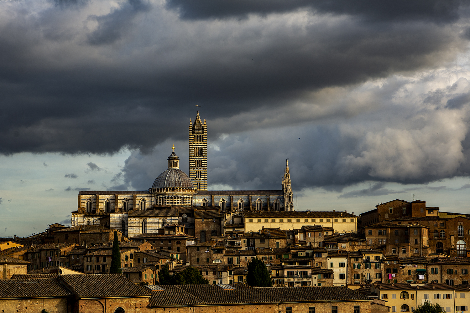 Siena.