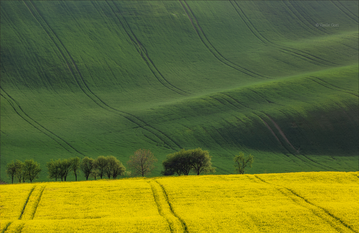 Spring Moravia