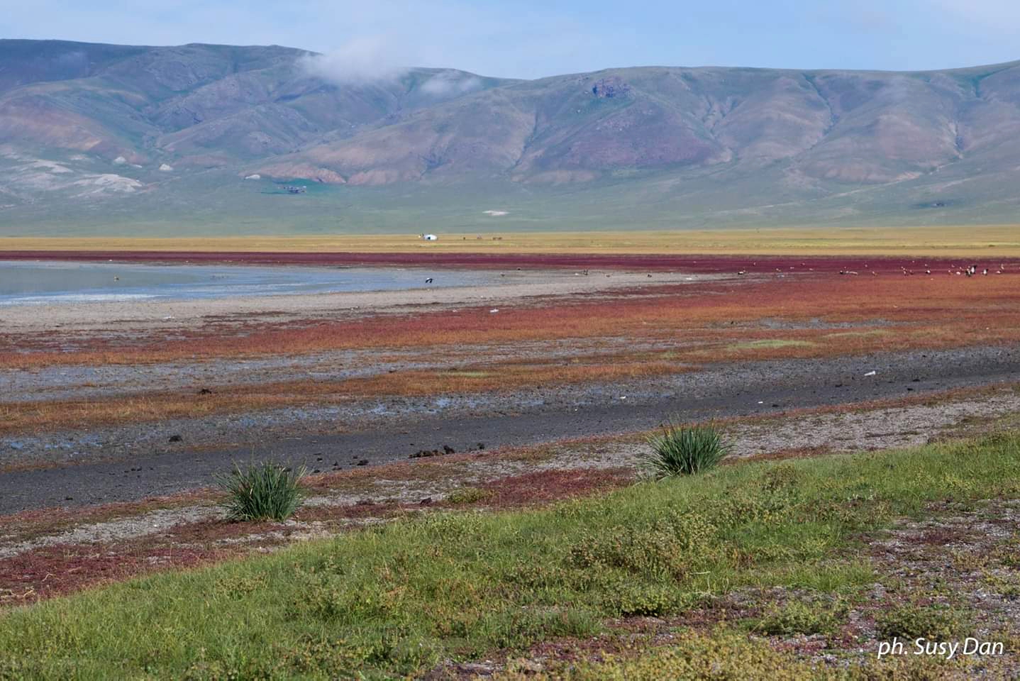 The colors of Mongolia