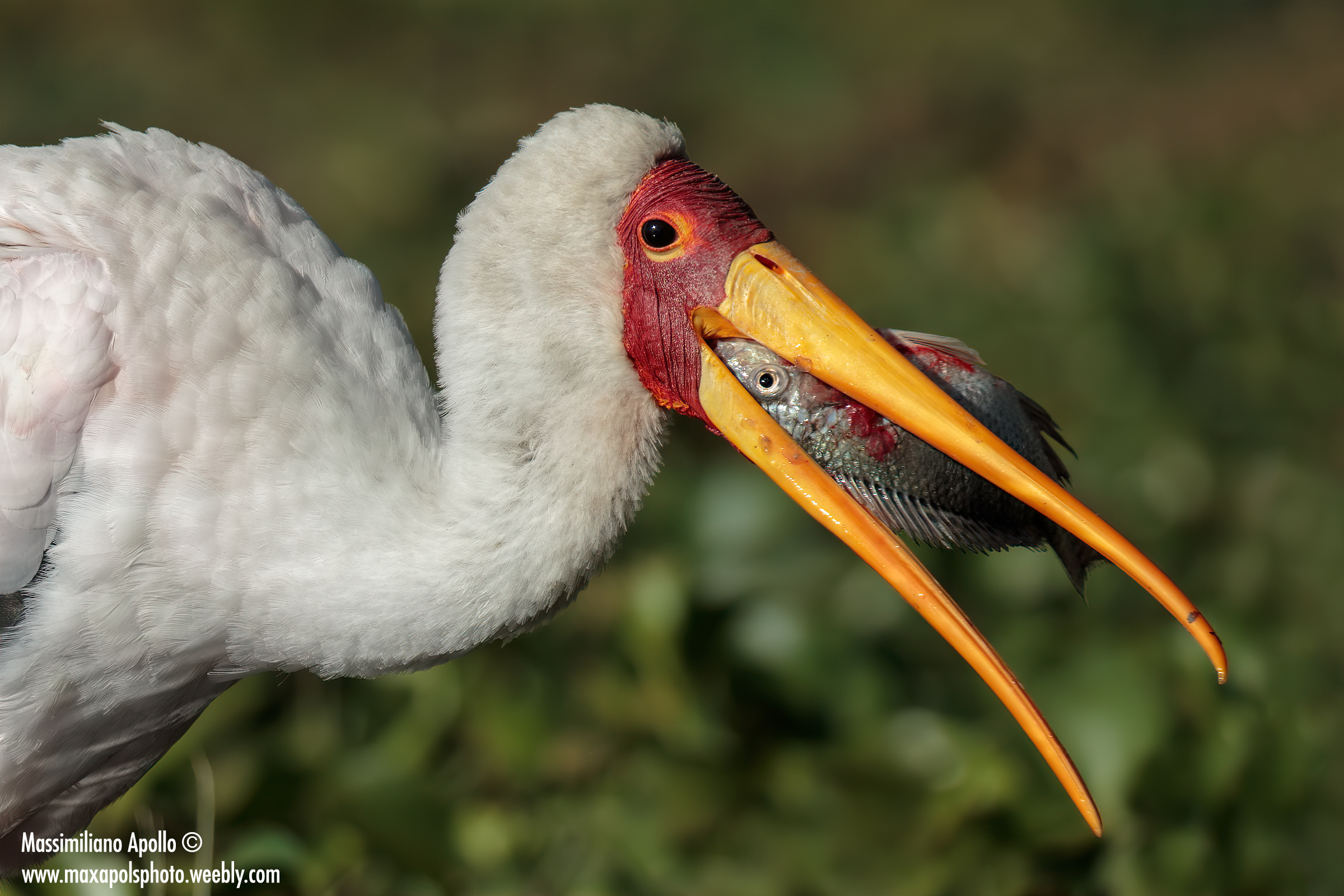 nell'occhio del ciclone..