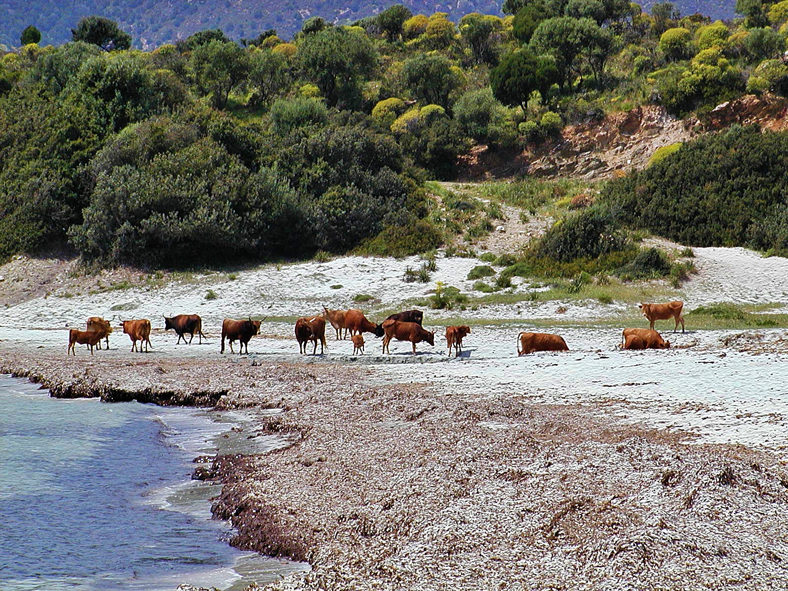 Dai dai, fatevi un bagnetto anche voi... :)
