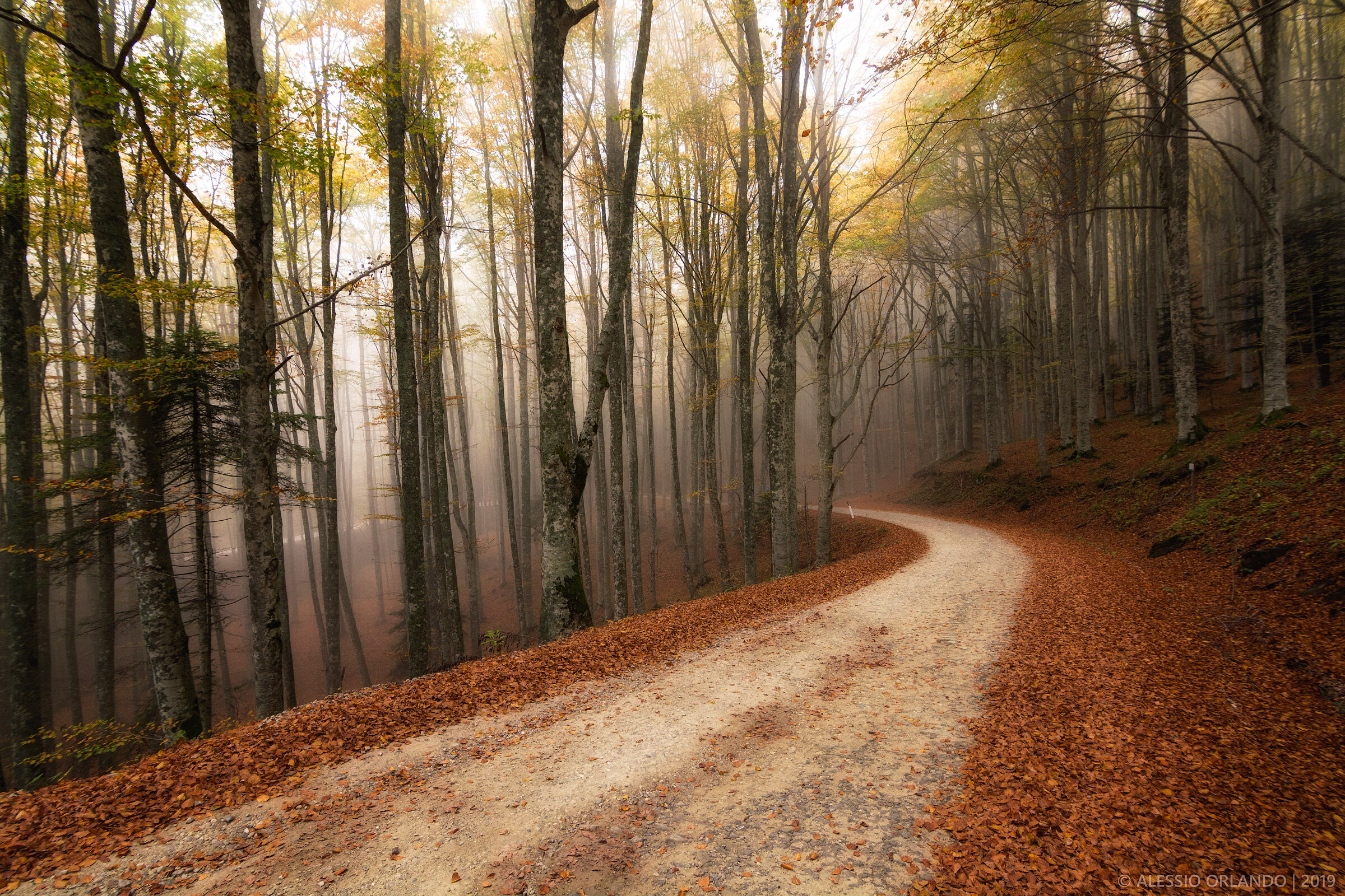 Love what's around you