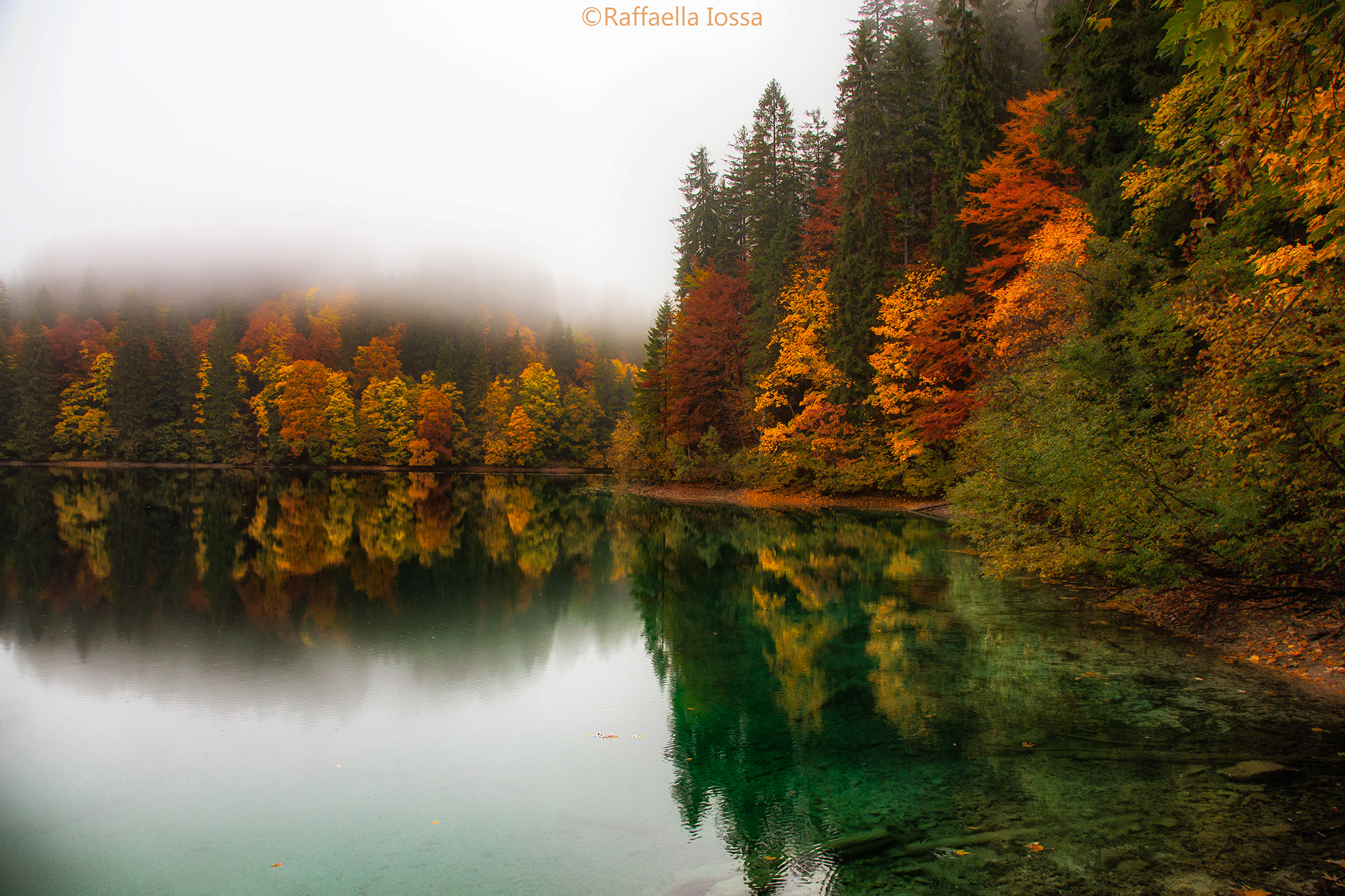 Giornata uggiosa al lago Tovel