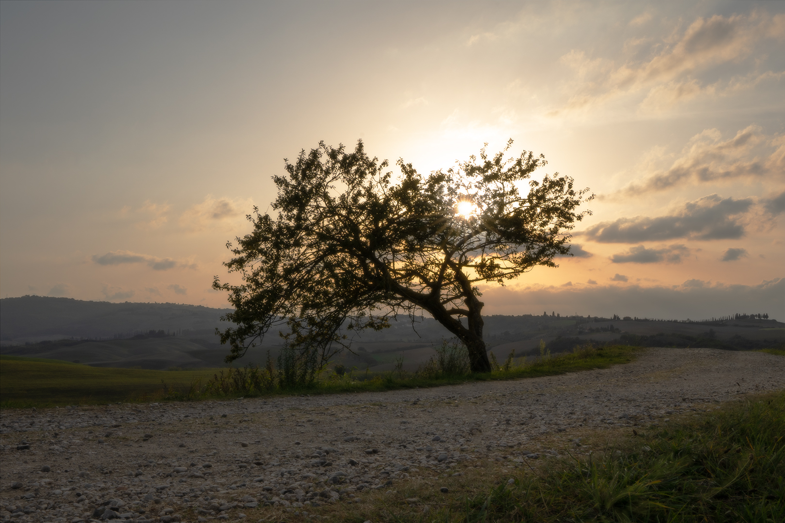 Light between branches