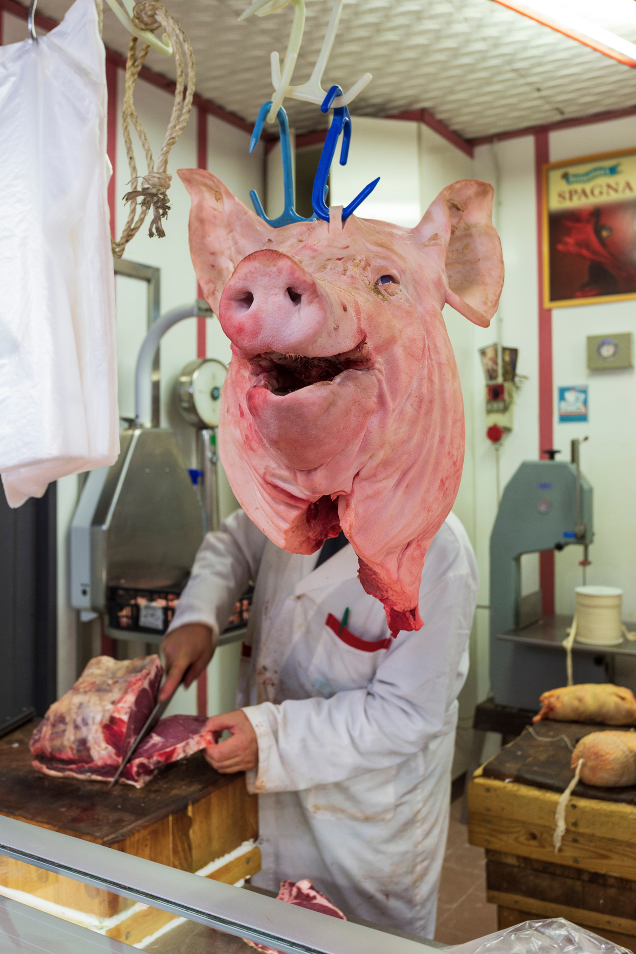 But head of ma... cell