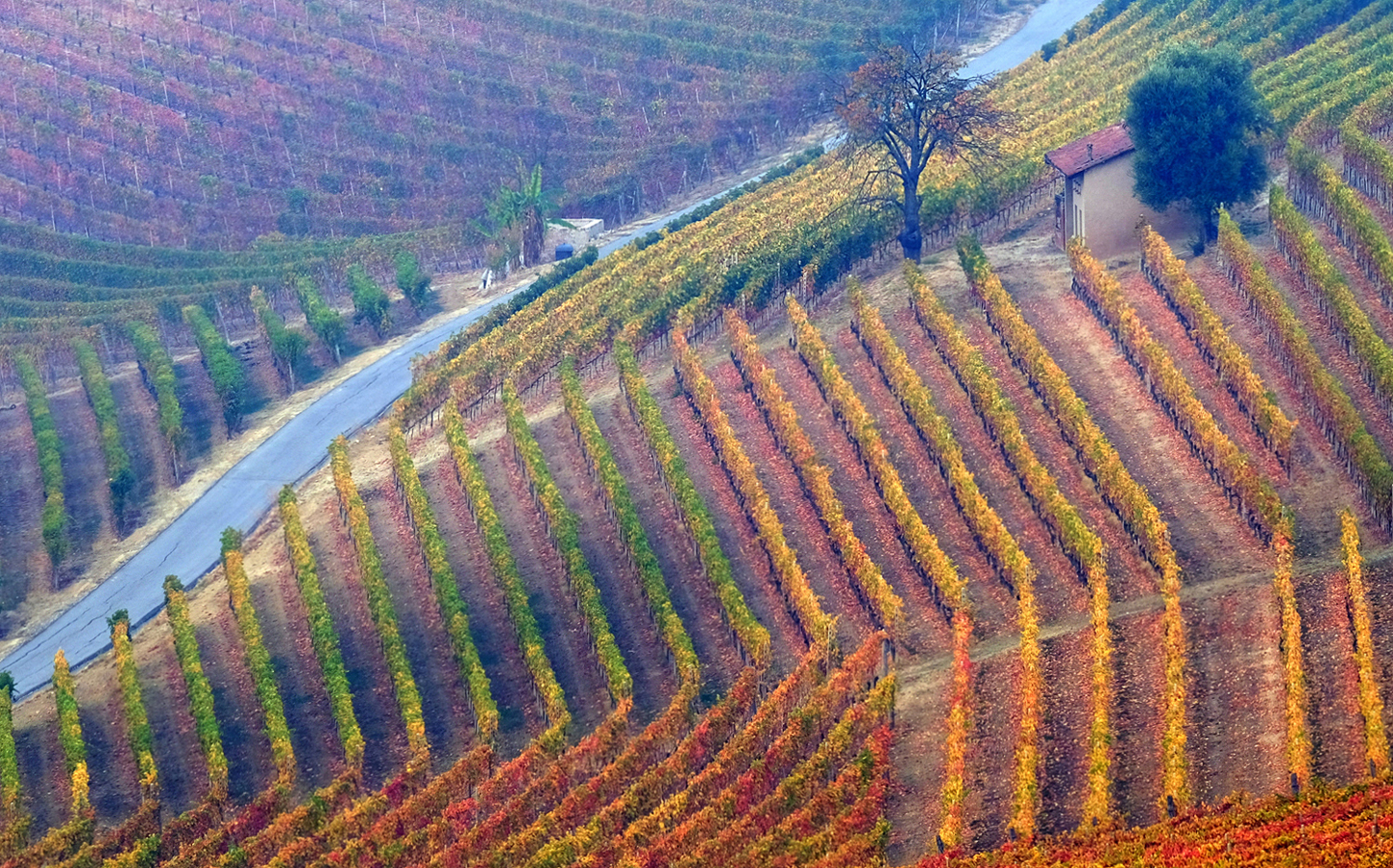 Passaggio a nord ovest