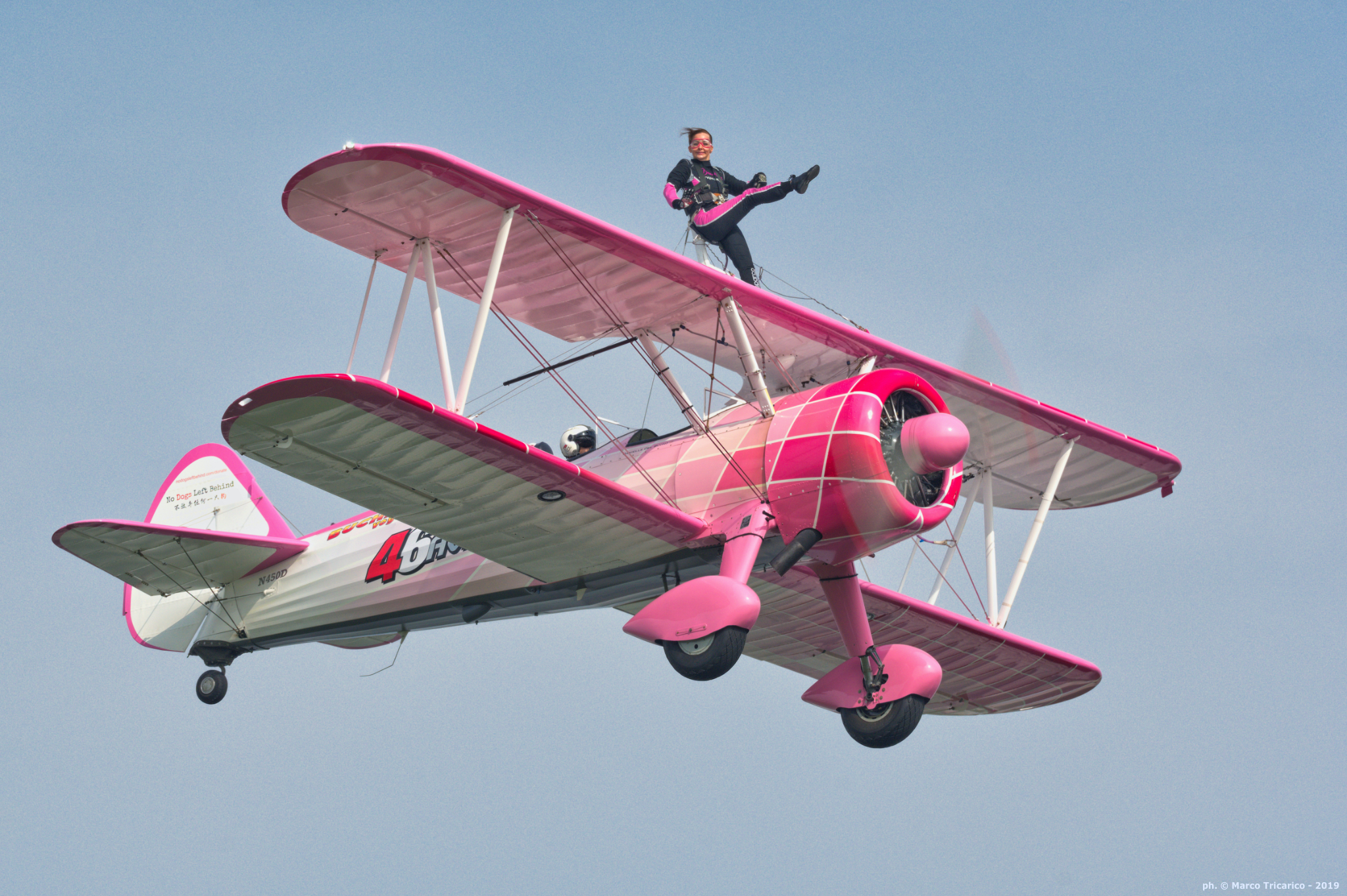 Pink Ladies (and a Gentleman)...