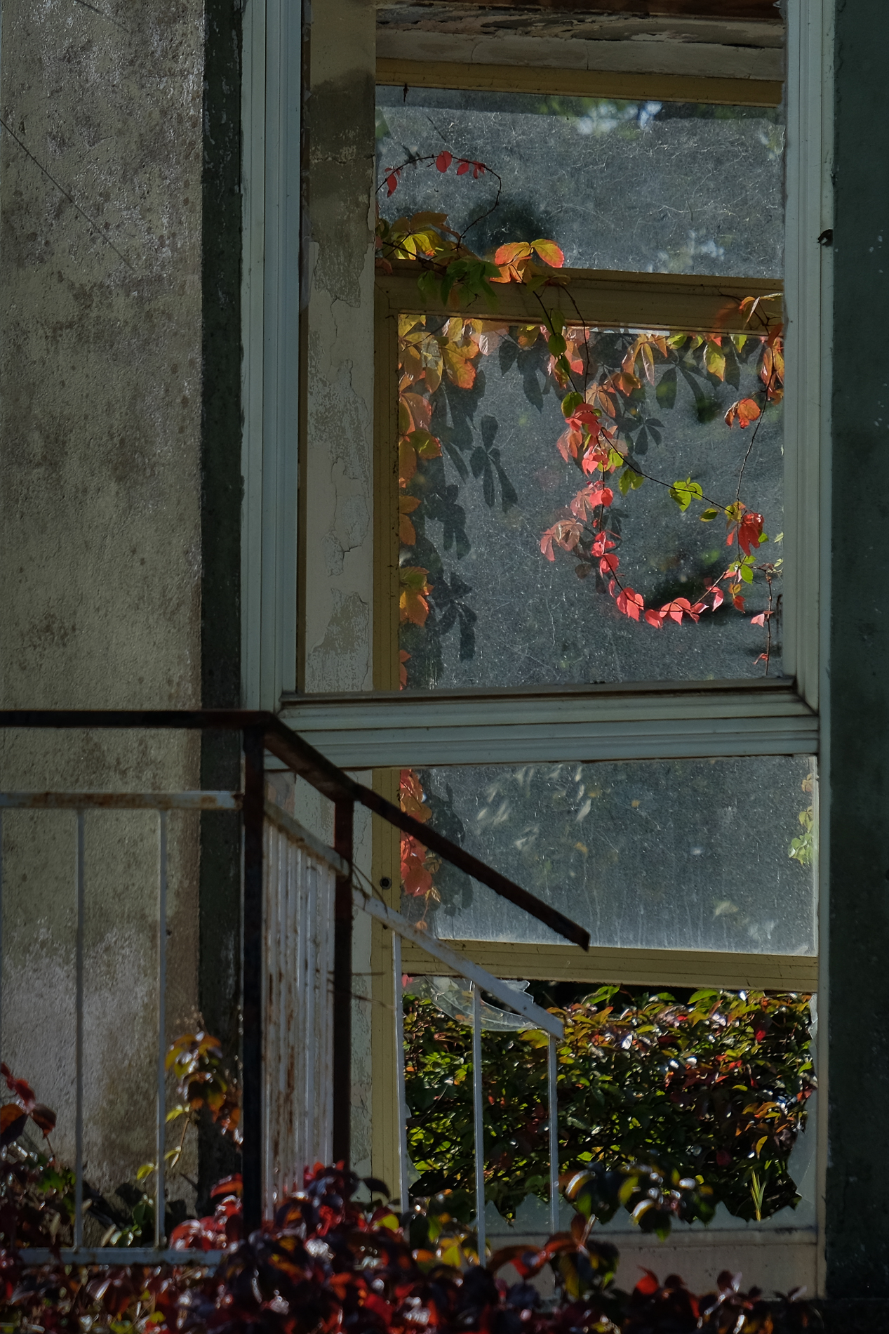 Dolcezza e abbandono