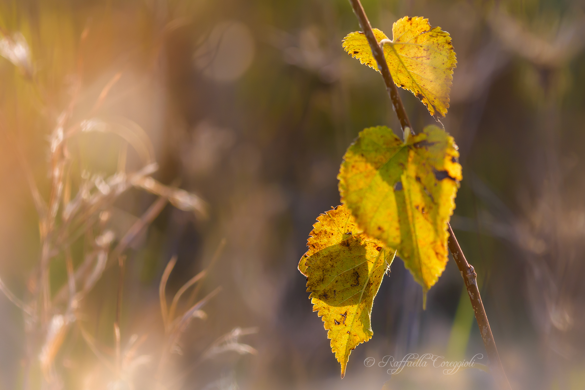 Do we play hide-and-seek?