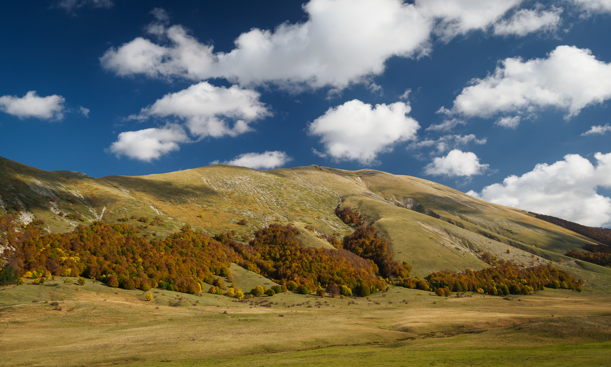 Autunno presso il M. Godi   Abruzzo