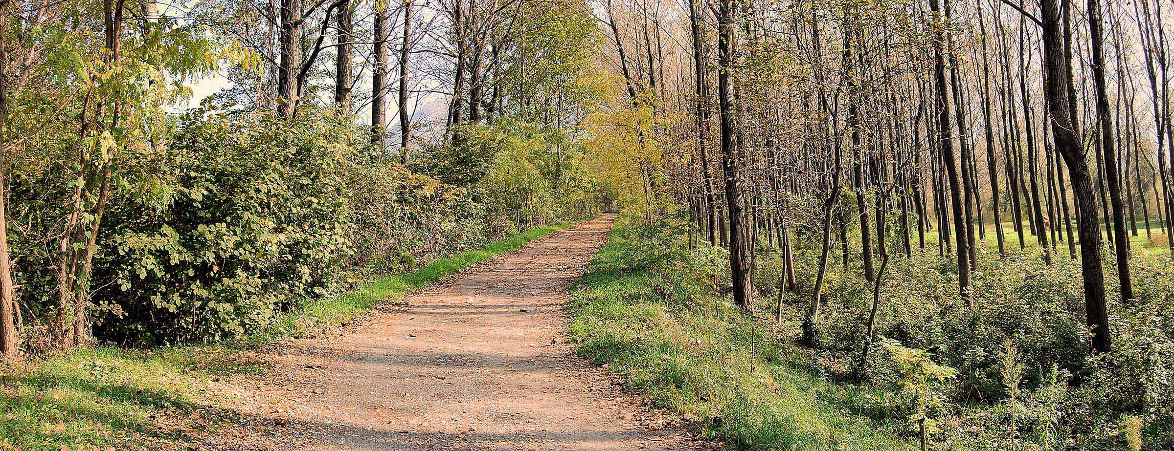 Piancogno - Pista ciclabile