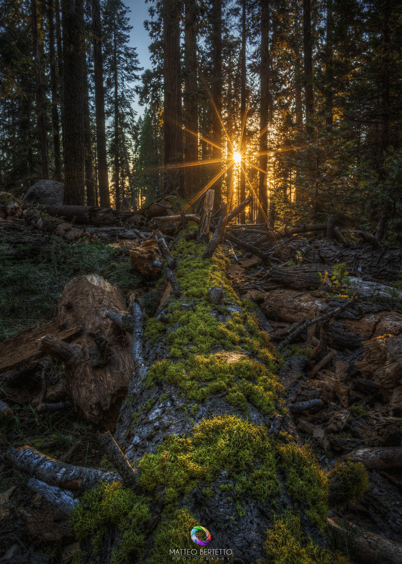Sequoia National Park - California