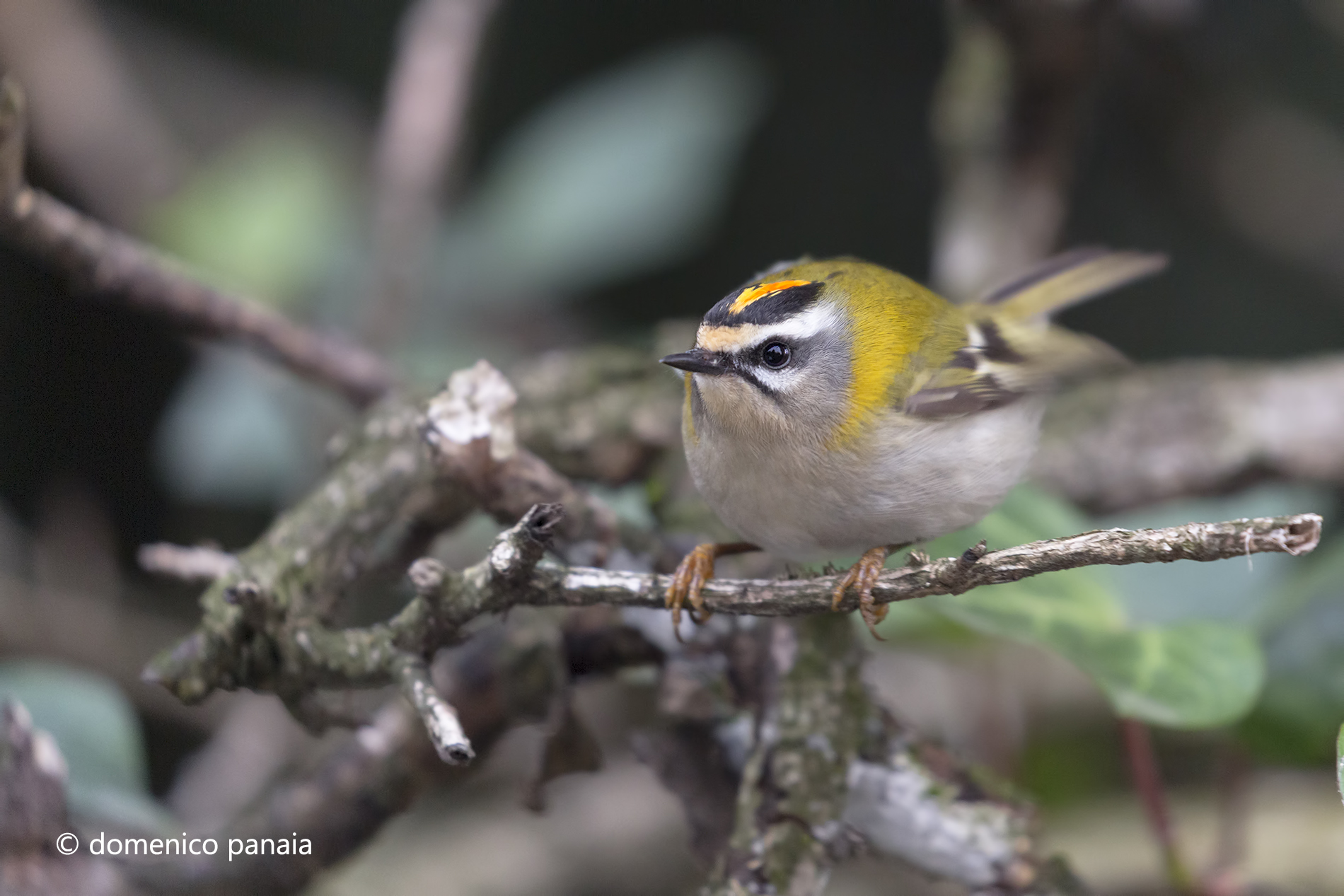 ho qualche kilo di troppo