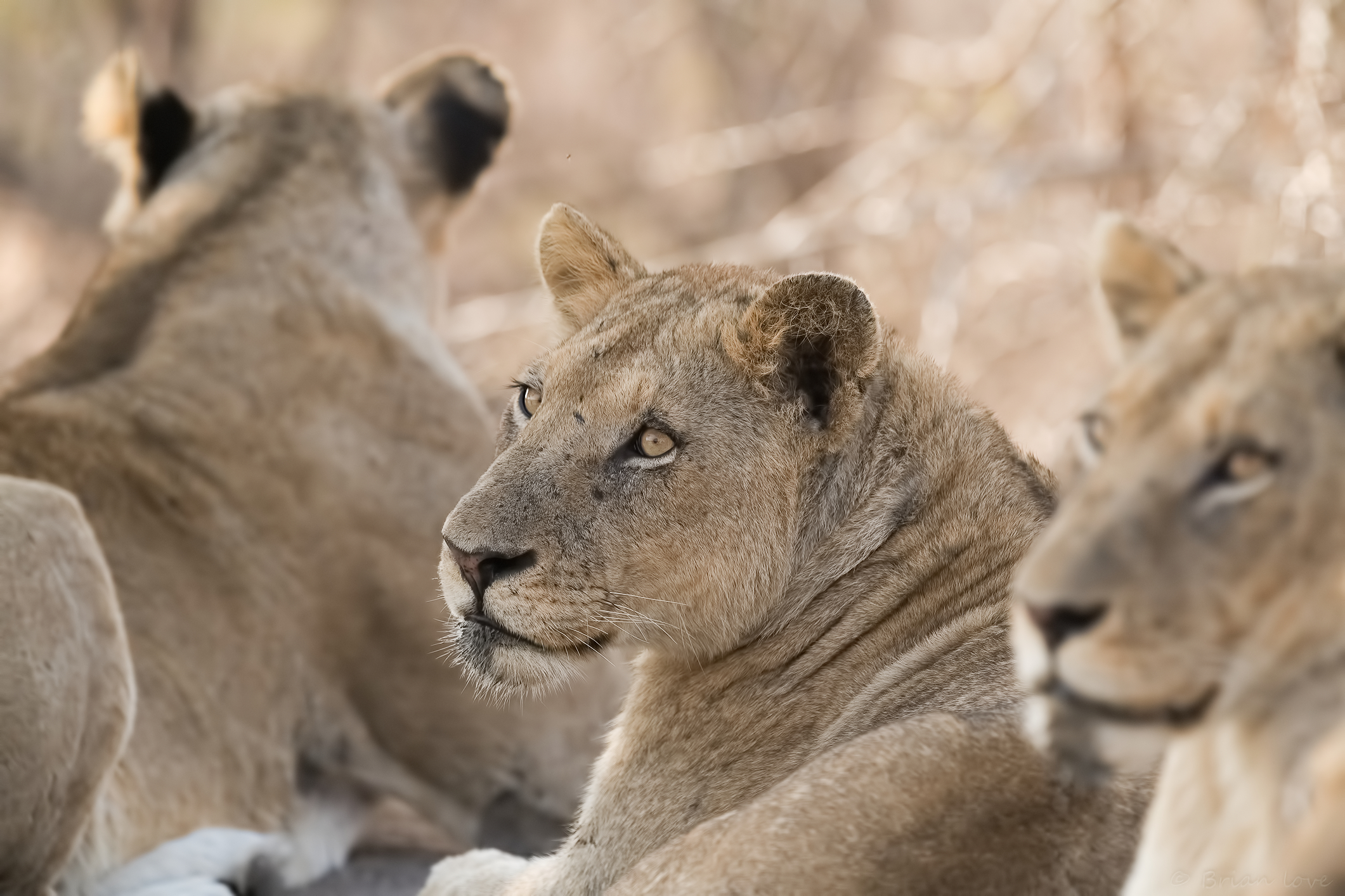 Chilling with my Sisters