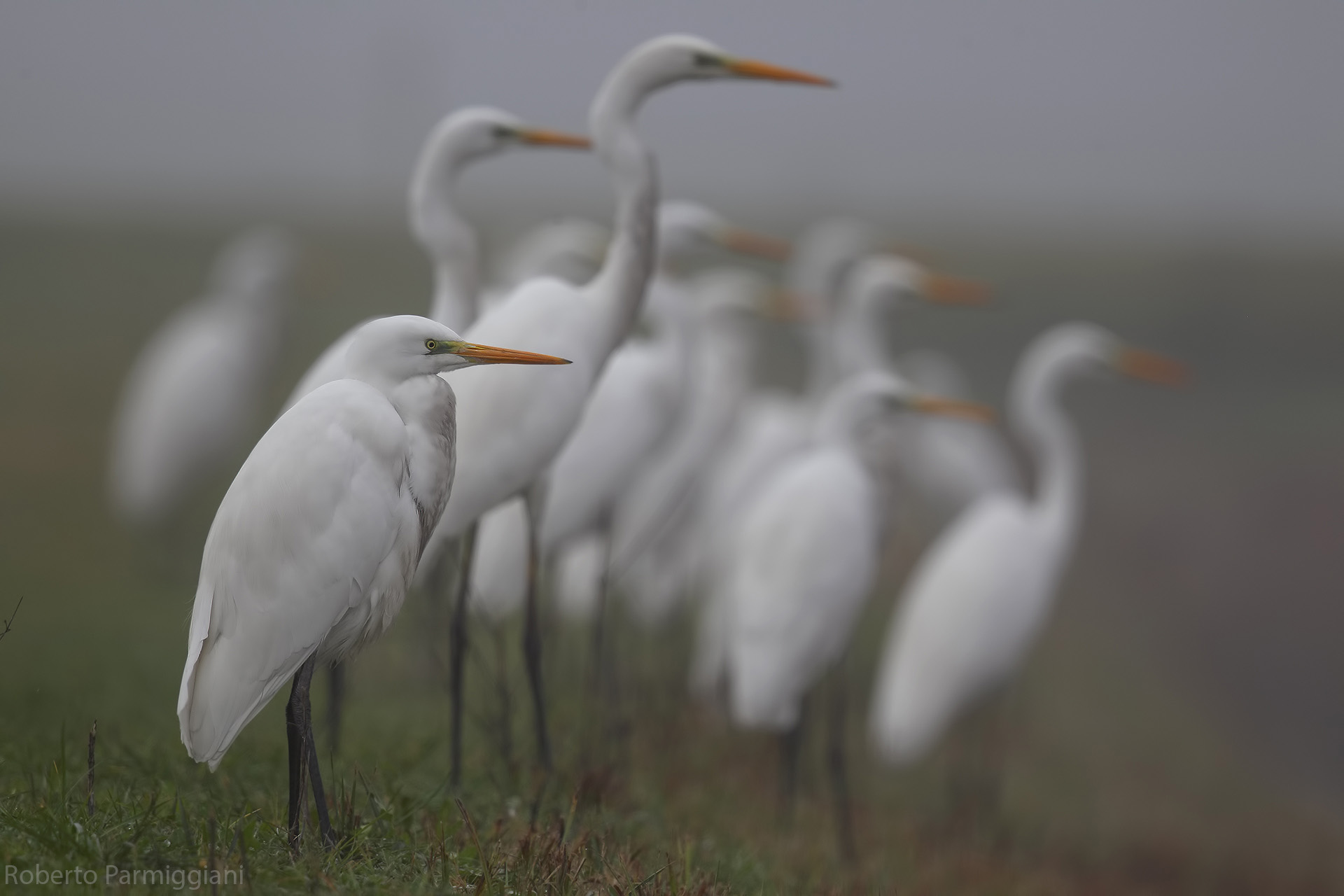 L'unione come difesa