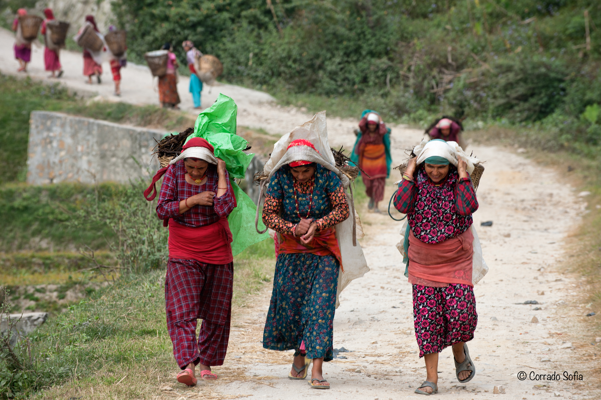 Women on their journey