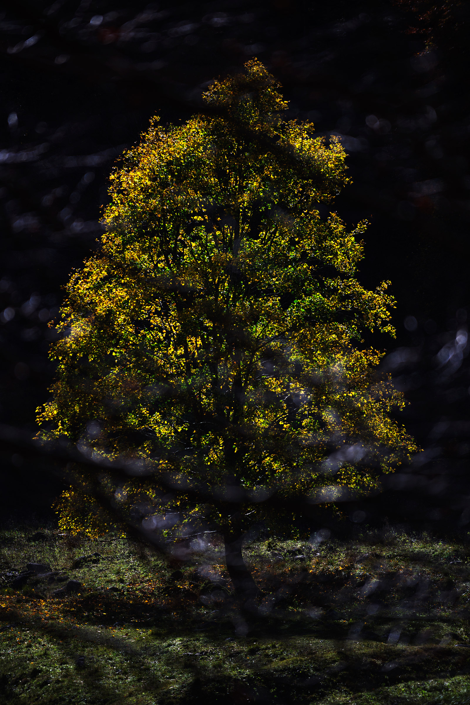 The enlightened prisoner.