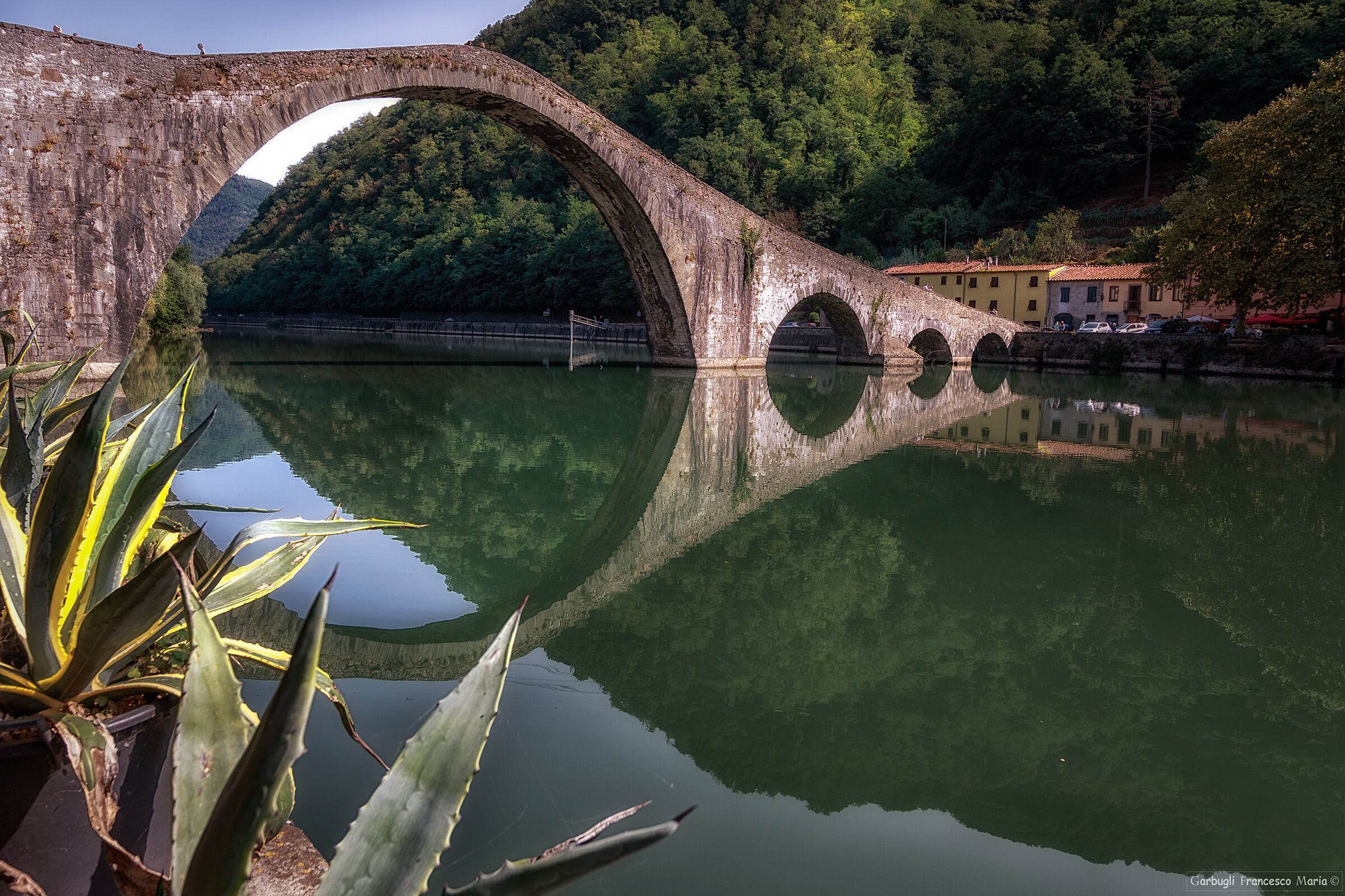 Agave sul Serchio- Ponte della Maddalena - LU
