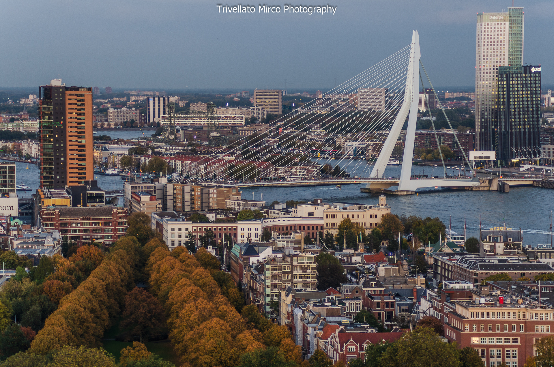 Rotterdam - Vista dalla Euromast Tower