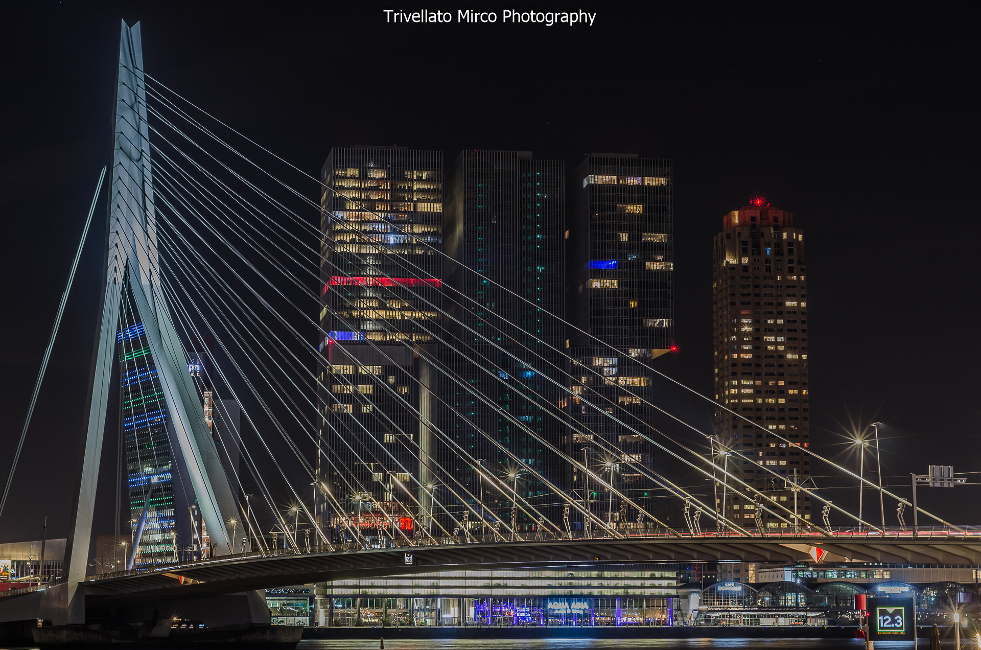 Rotterdam - Erasmubrug Bridge