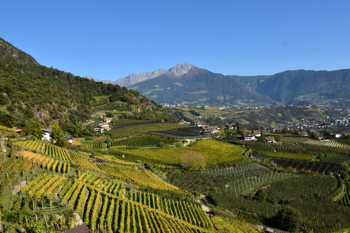 Autunno + Lagundo - Merano + Monte Ivinga
