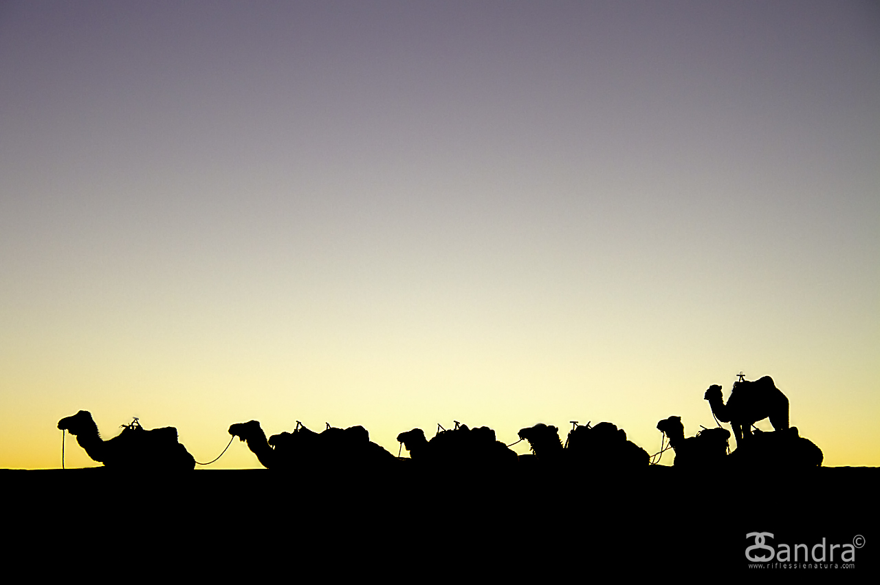 All in single file ...