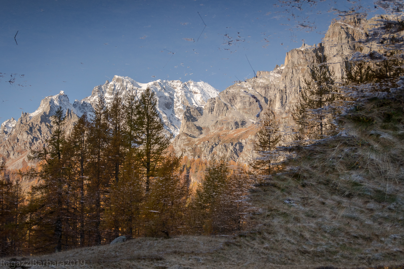The mountains reflected in the Devero