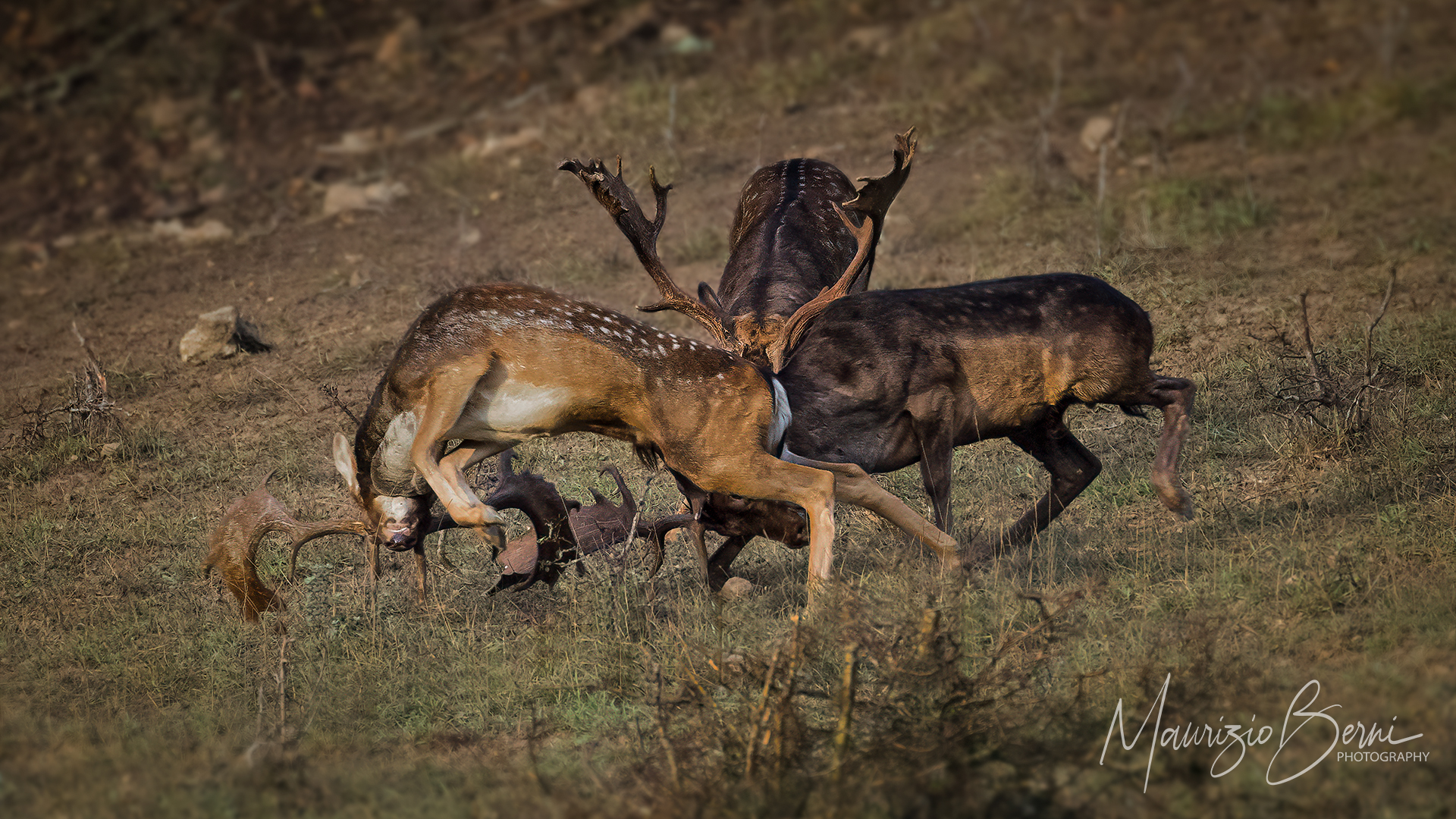 Comparisons, clashes and conflicts ... Daily hardship