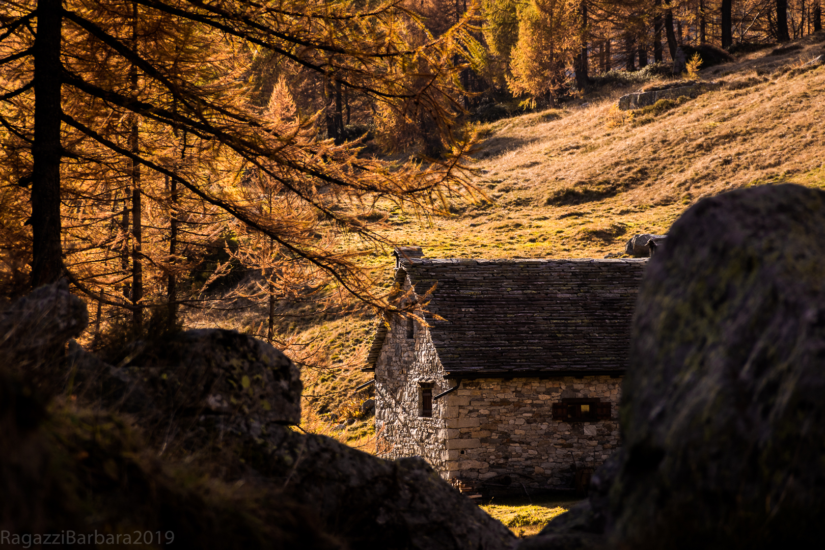 Glimpse at the Devero