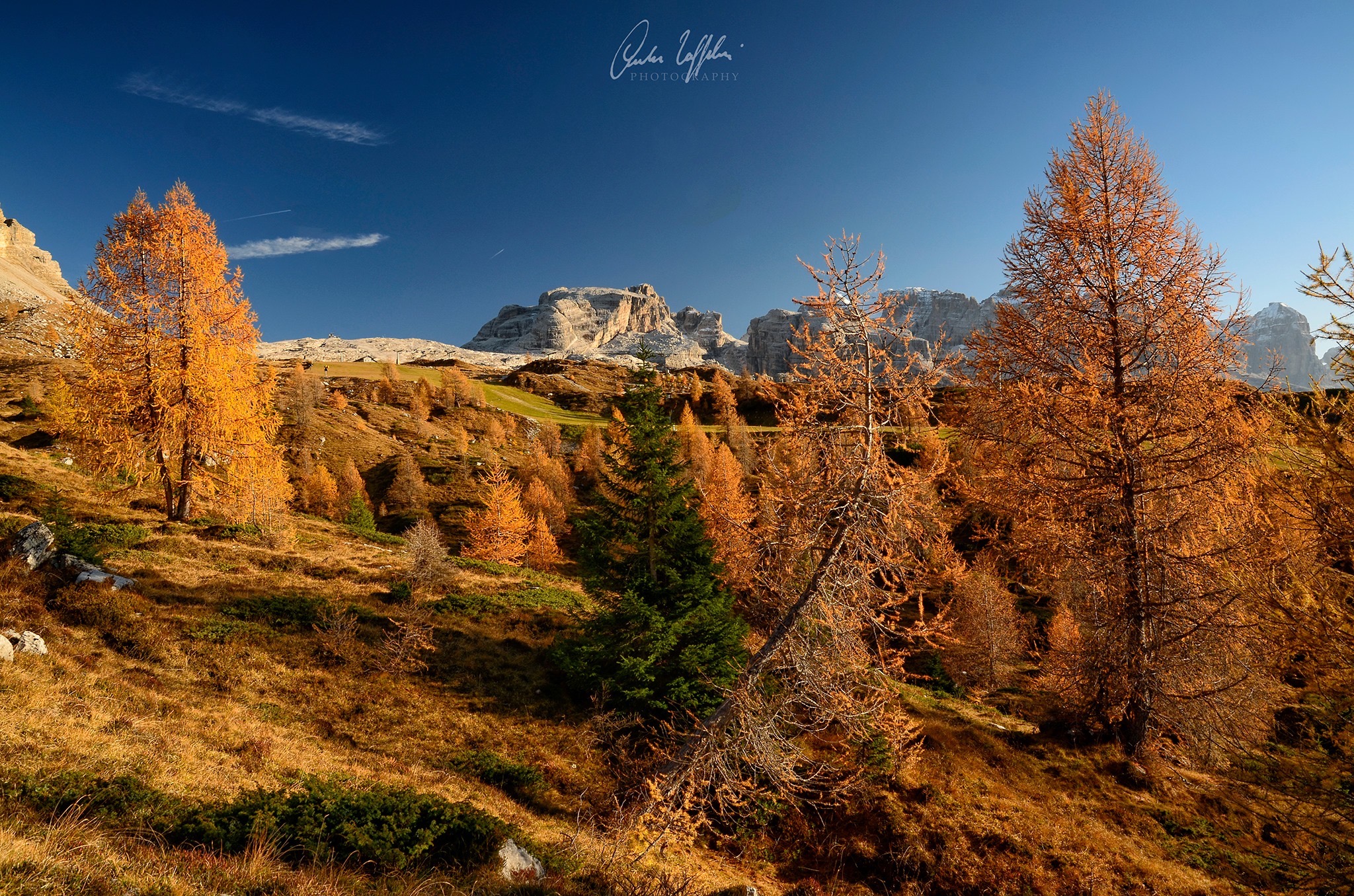 Autumn in front of the Dolomites of Brenta