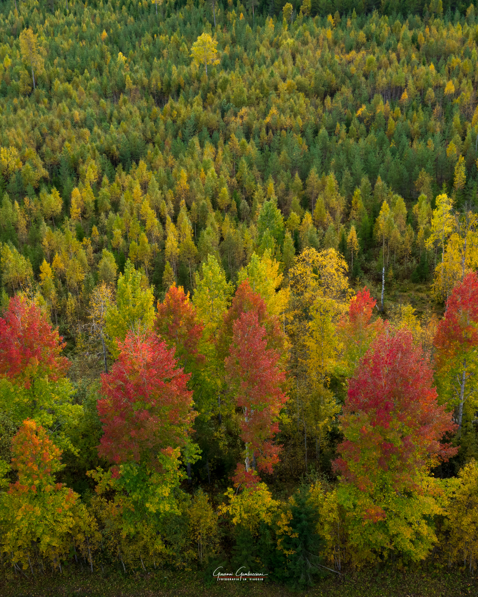 2019 September, Autumn in Lapland