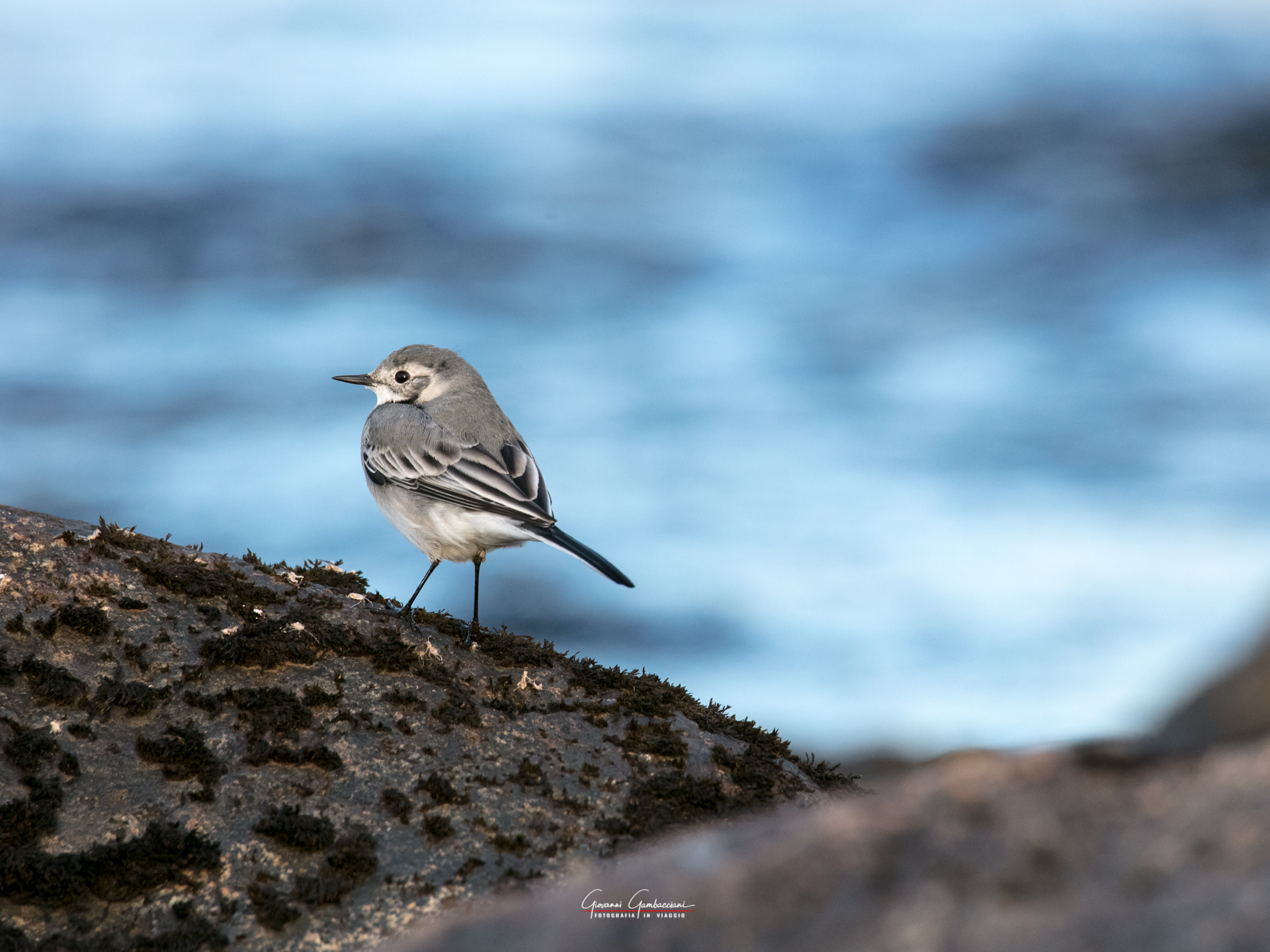 2019 September, Autumn in Lapland