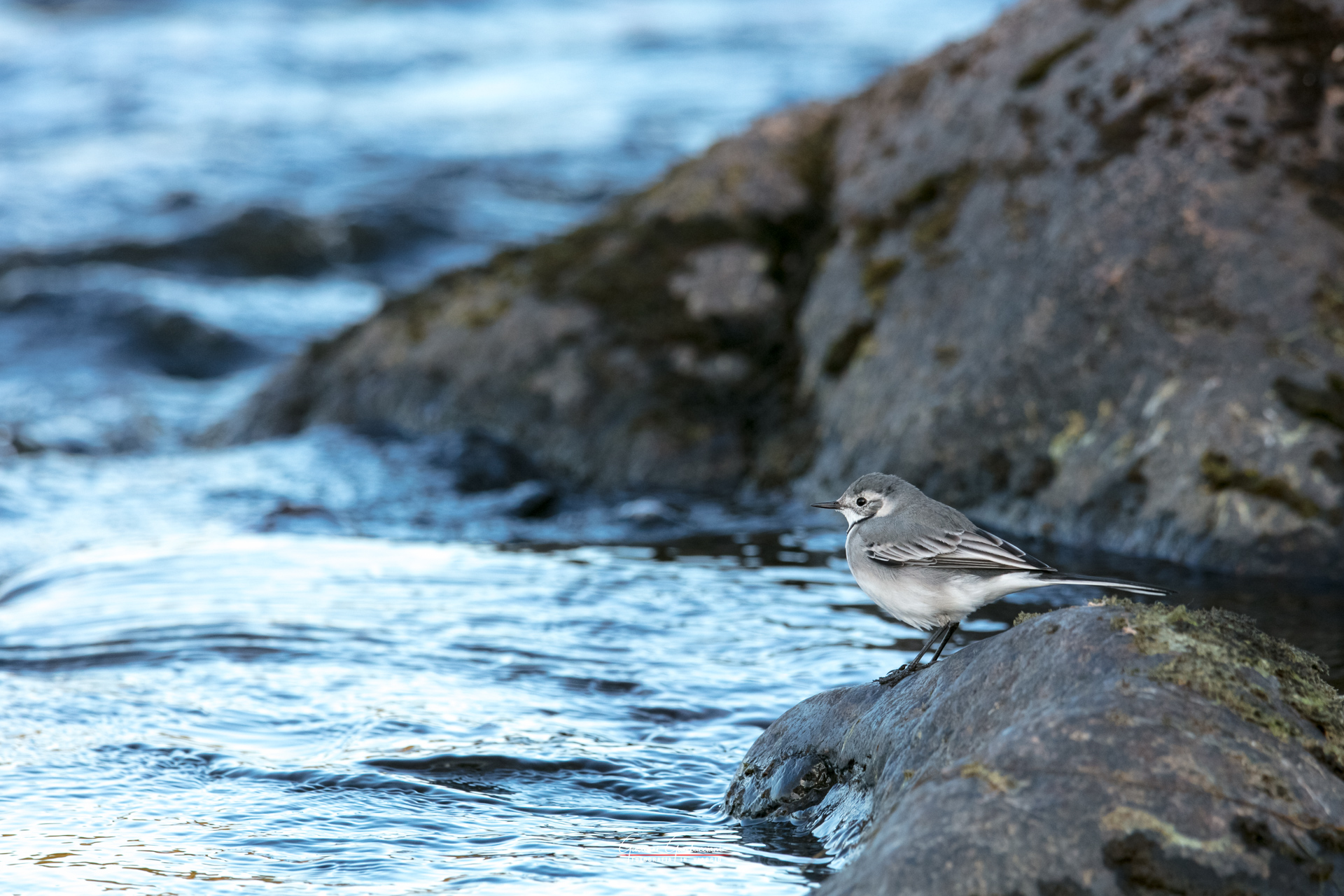 2019 September, Autumn in Lapland