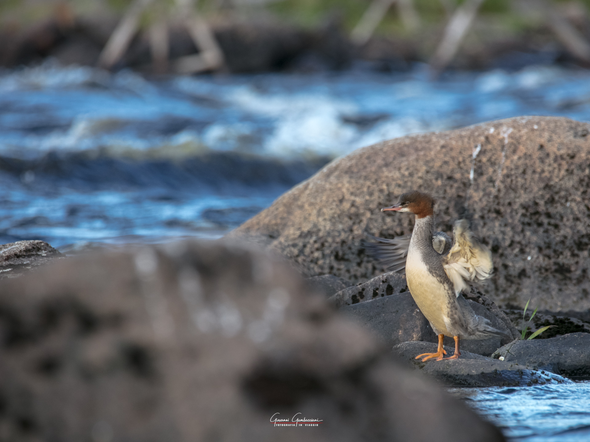 2019 September, Autumn in Lapland