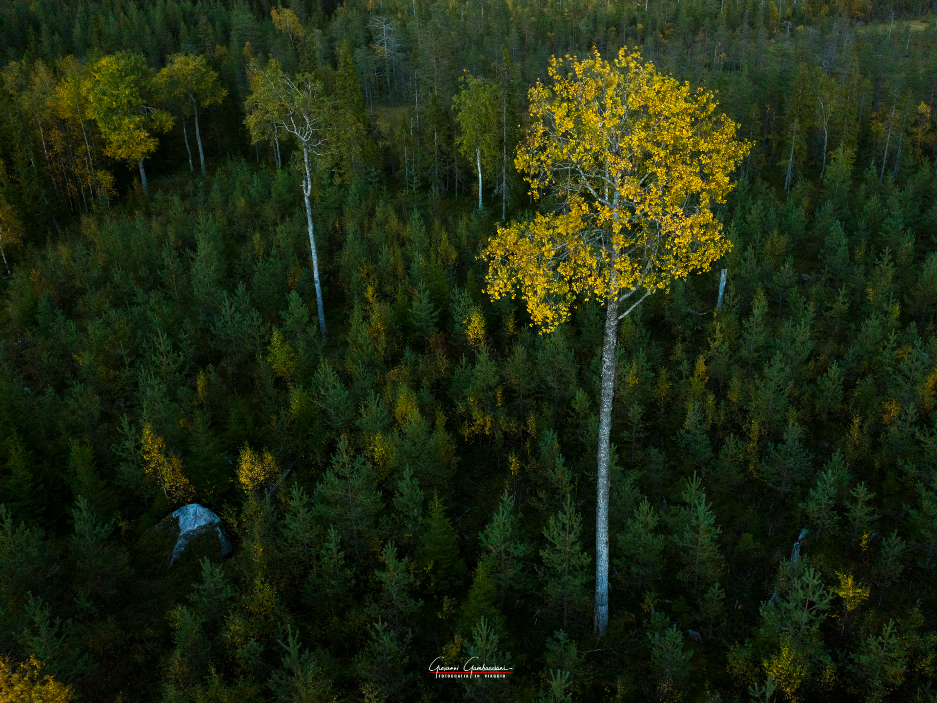 2019 September, Autumn in Lapland