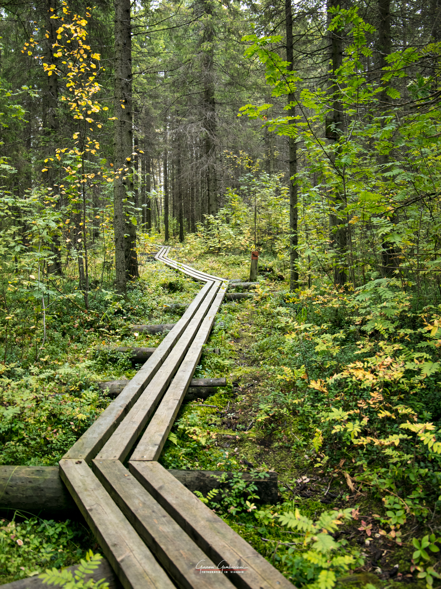 2019 September, Autumn in Lapland