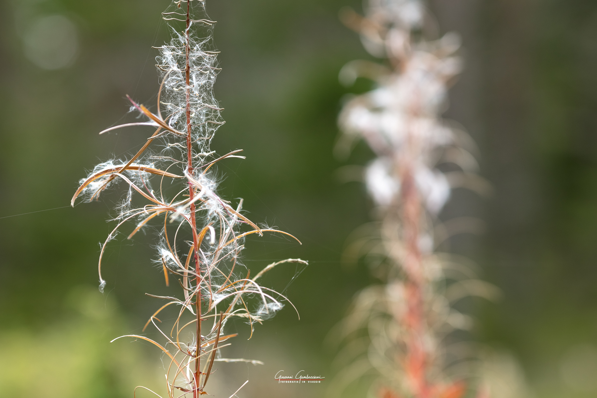 2019 September, Autumn in Lapland