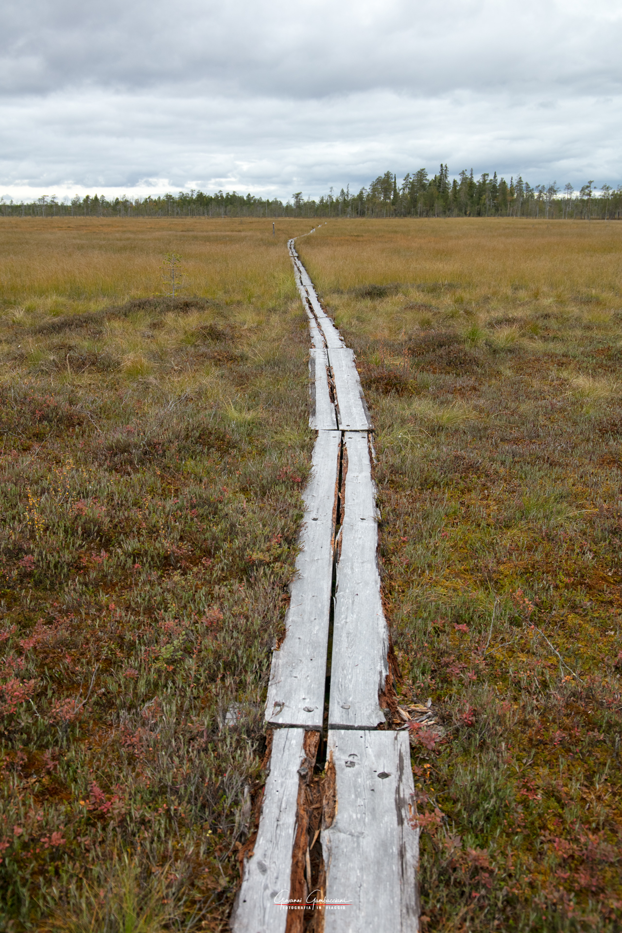 2019 September, Autumn in Lapland