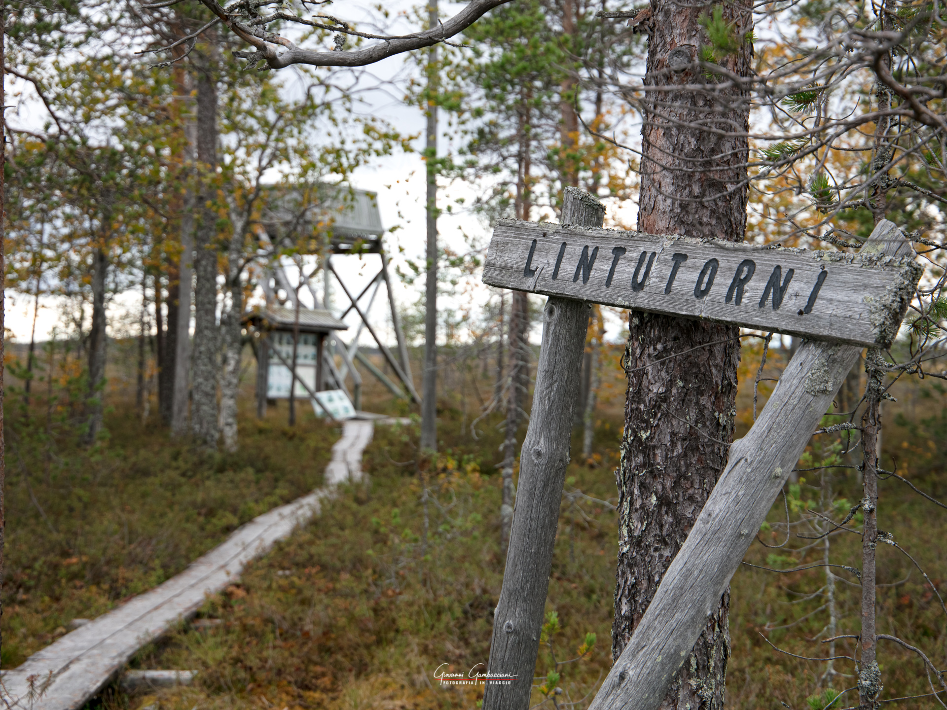 2019 September, Autumn in Lapland