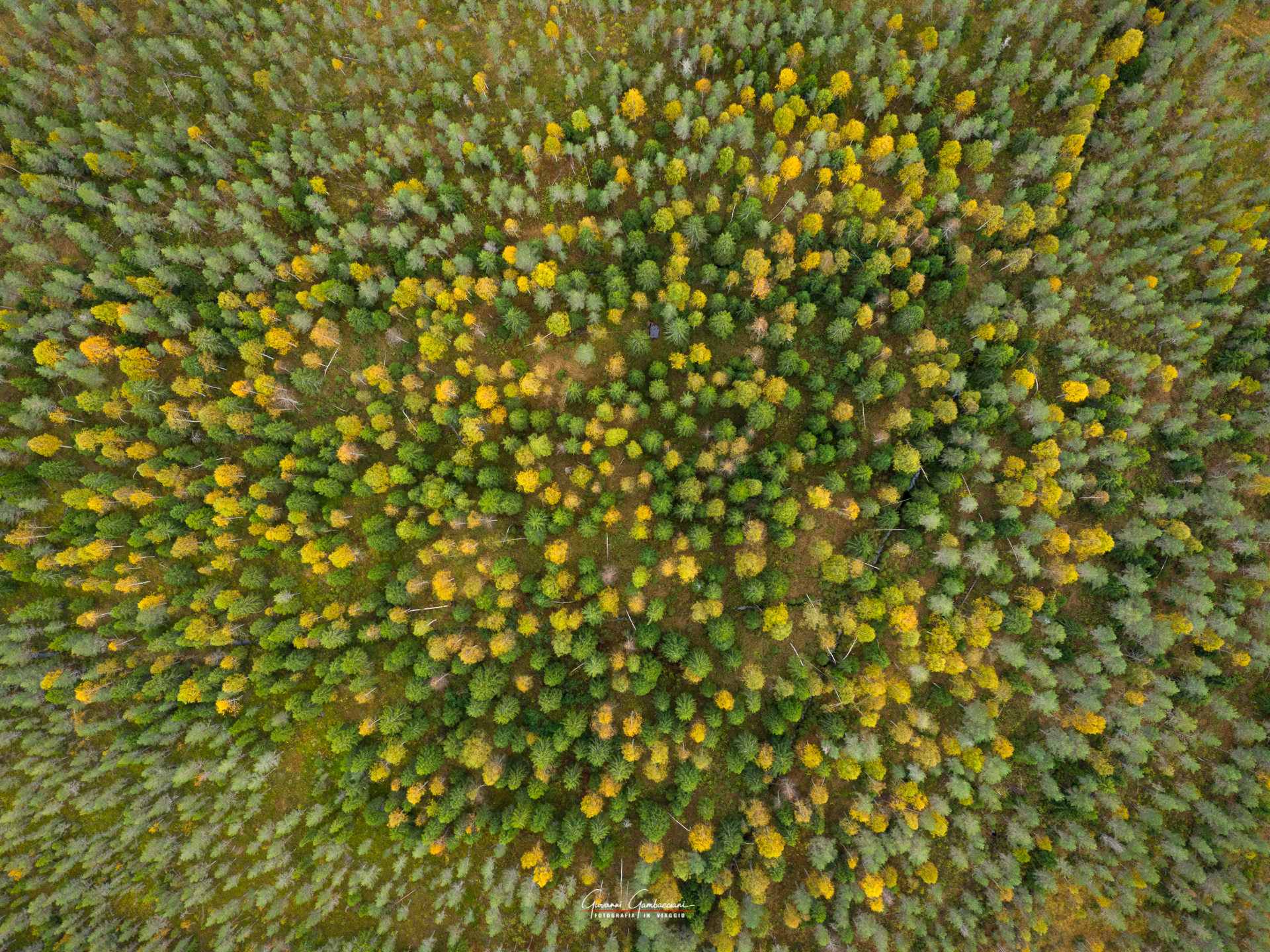 2019 September, Autumn in Lapland