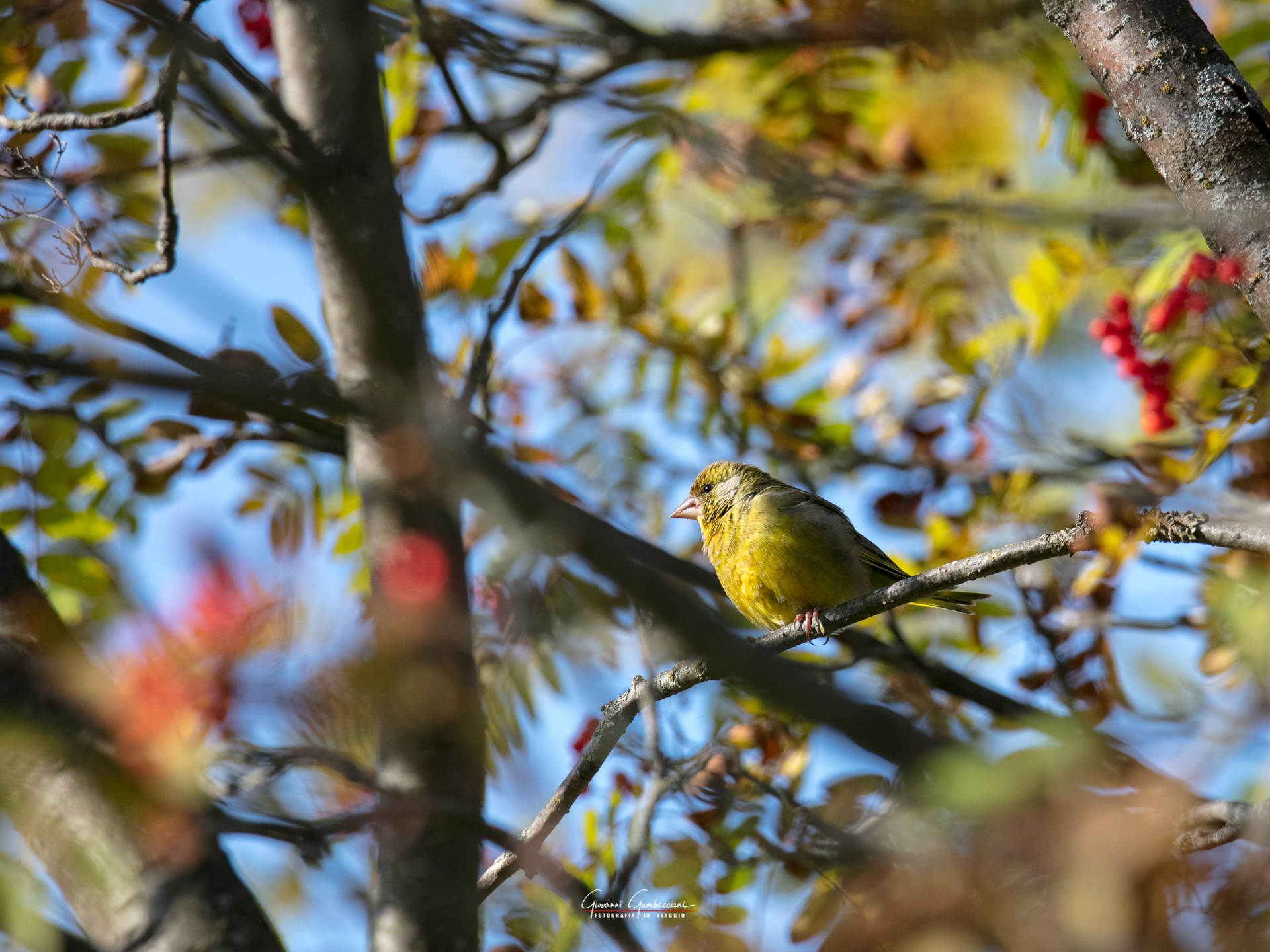 2019 September, Autumn in Lapland