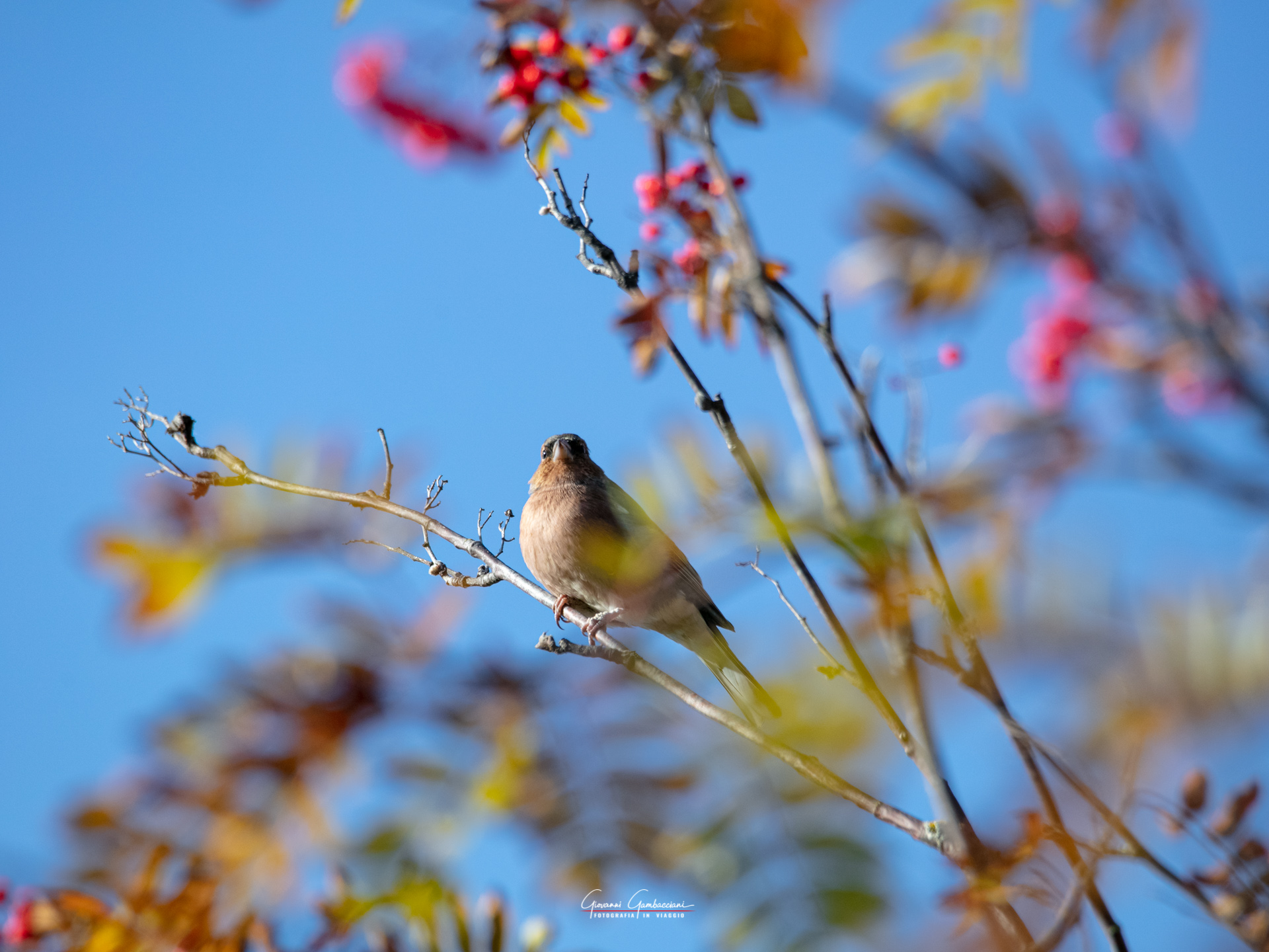 2019 September, Autumn in Lapland