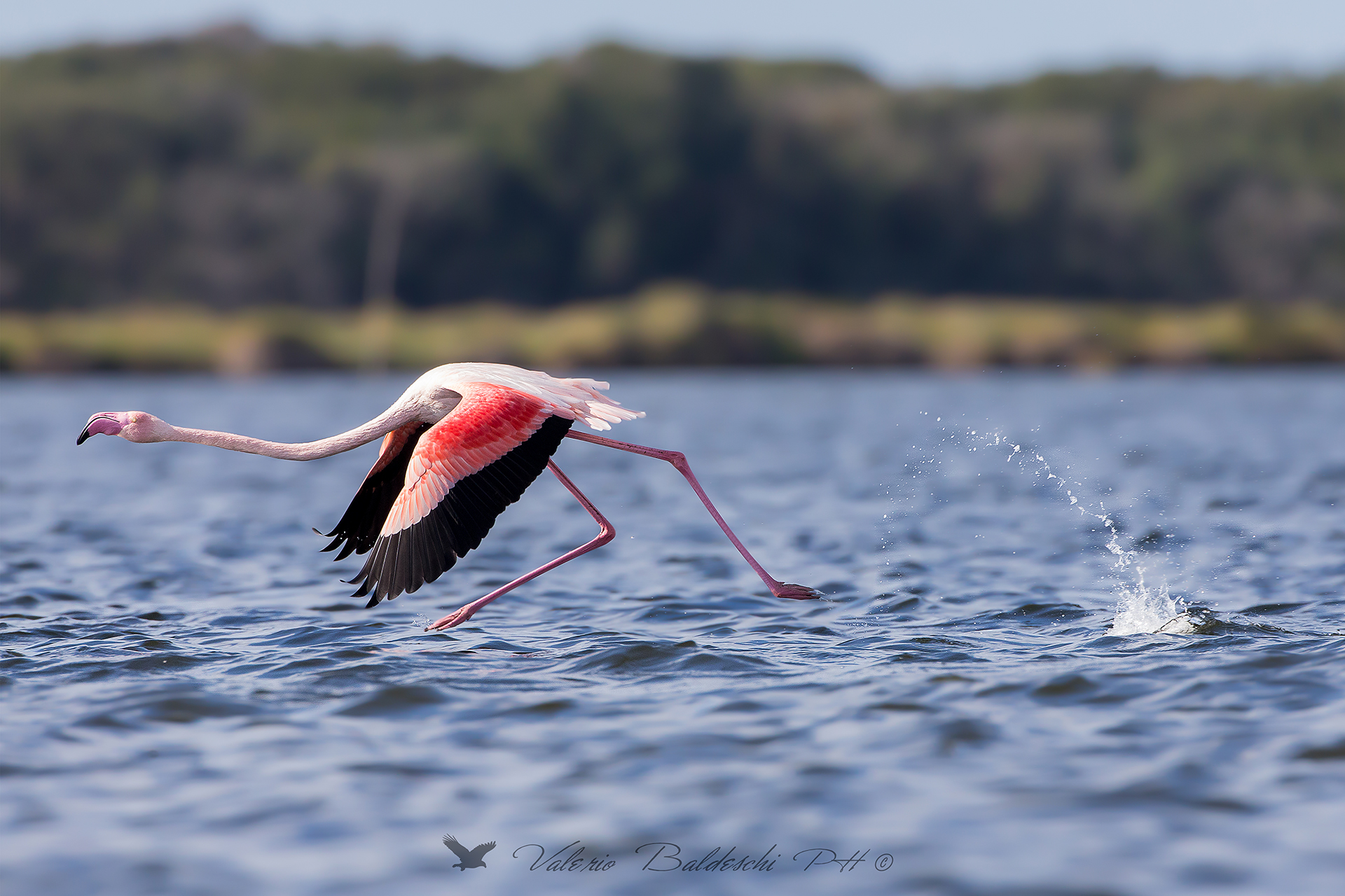 walking on the water