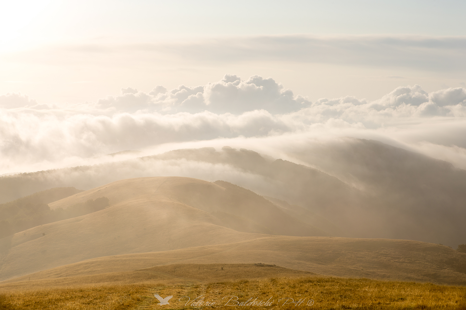 alba sulle praterie di alta montagna