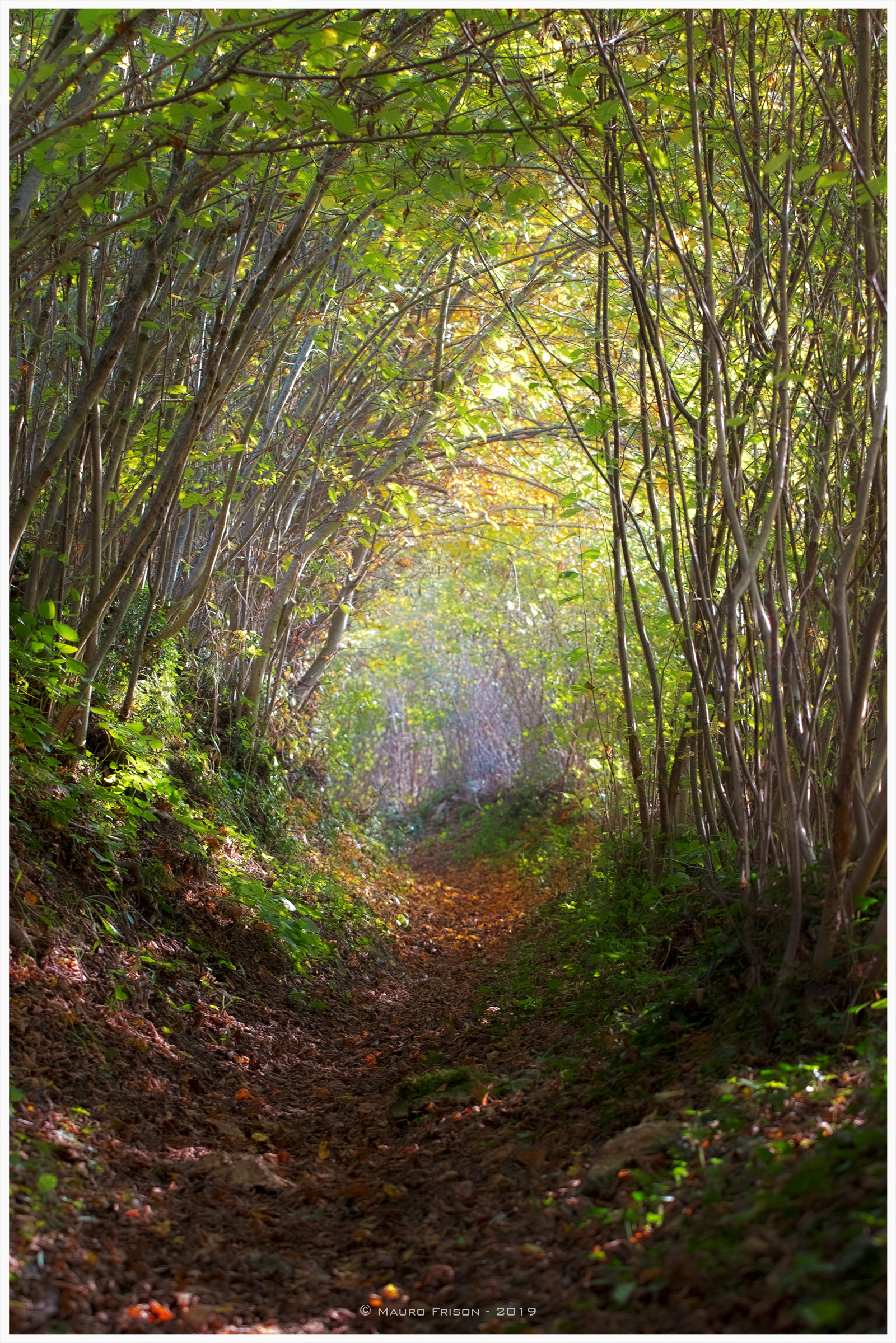 Nel tunnel dell'autunno
