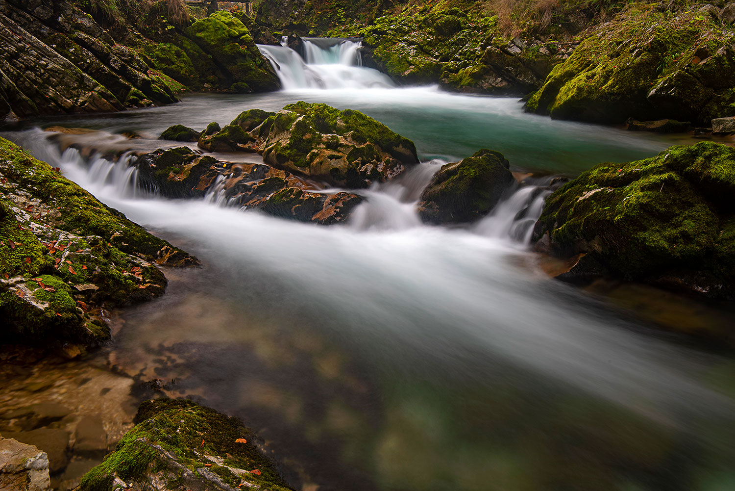 Cascate nelle gole di Vintgar - Slovenia